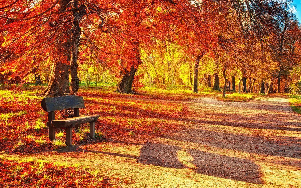 1280X800 Autumn Wallpapers - Top Free 1280X800 Autumn Backgrounds ...