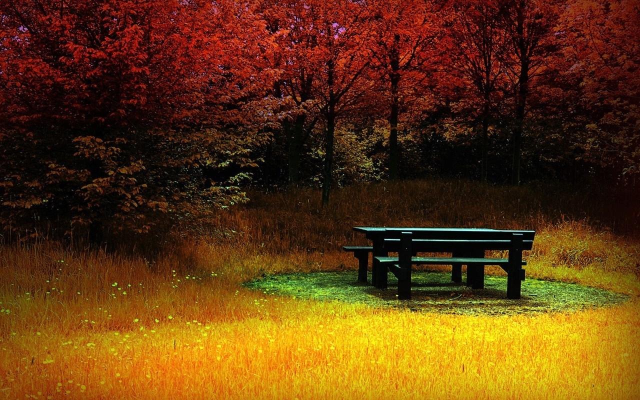 1280x800 autumn wallpaper 18 x 800