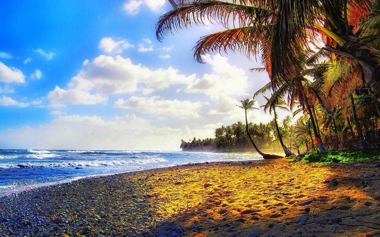 1280x800 Wallpaper 1280x800