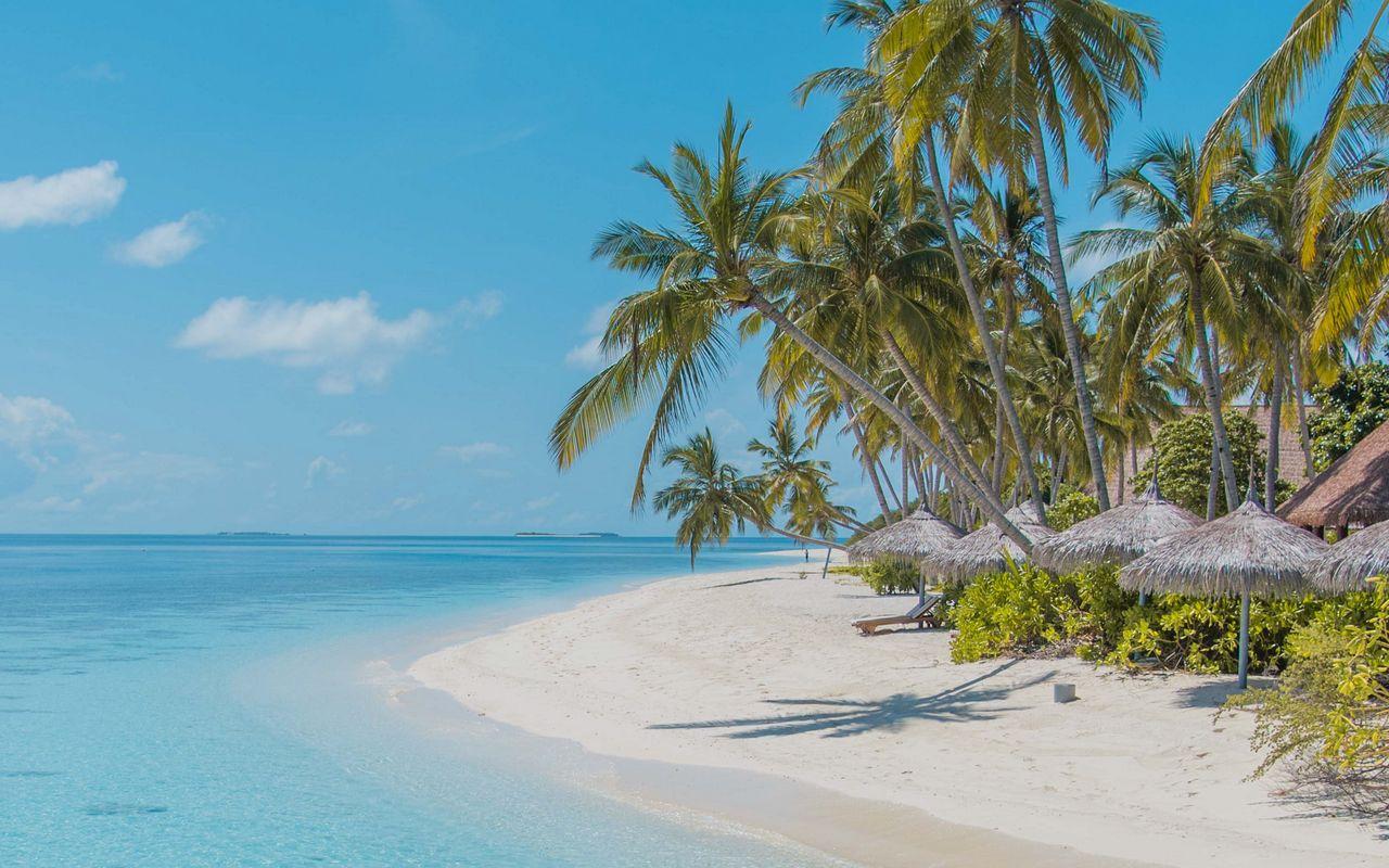 1280x800 Download wallpaper 1280x800 beach, palm trees, sand, water widescreen 16:10 HD background