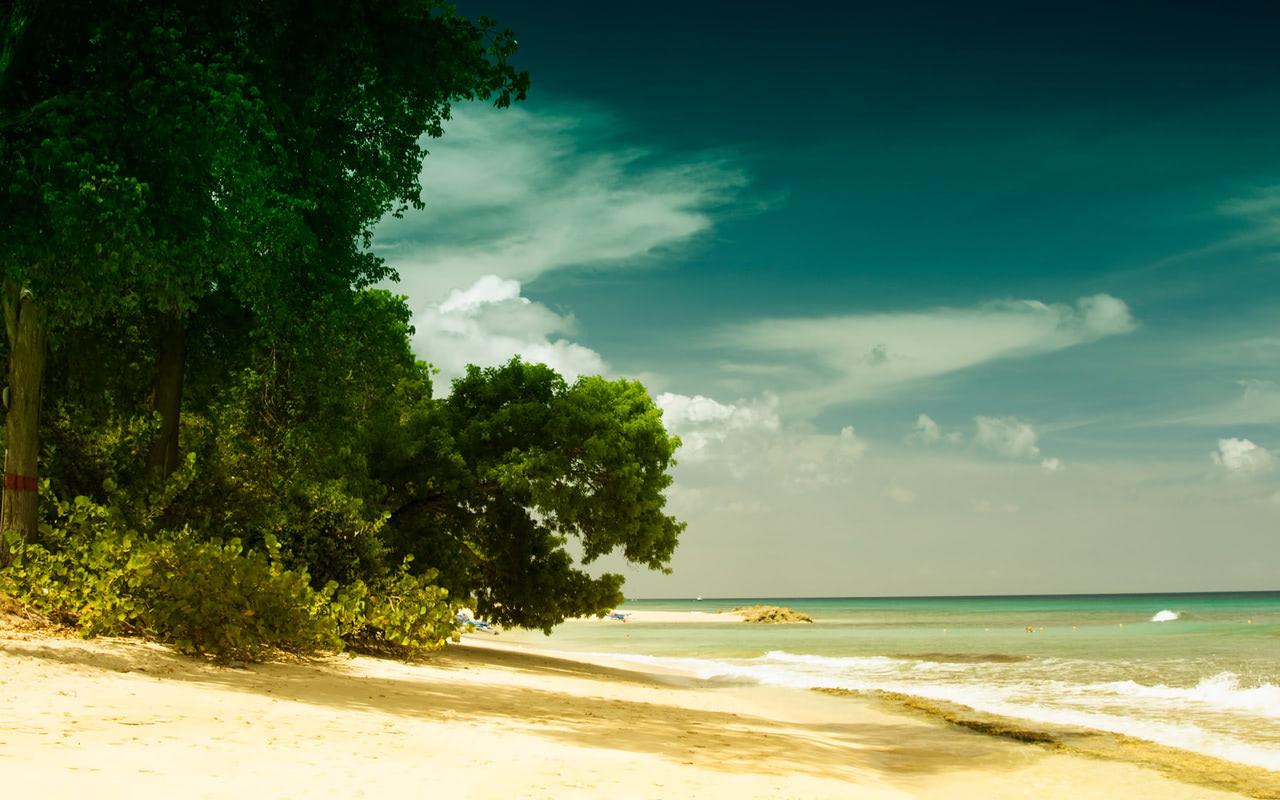 1280x800 Barbados beach wallpaper