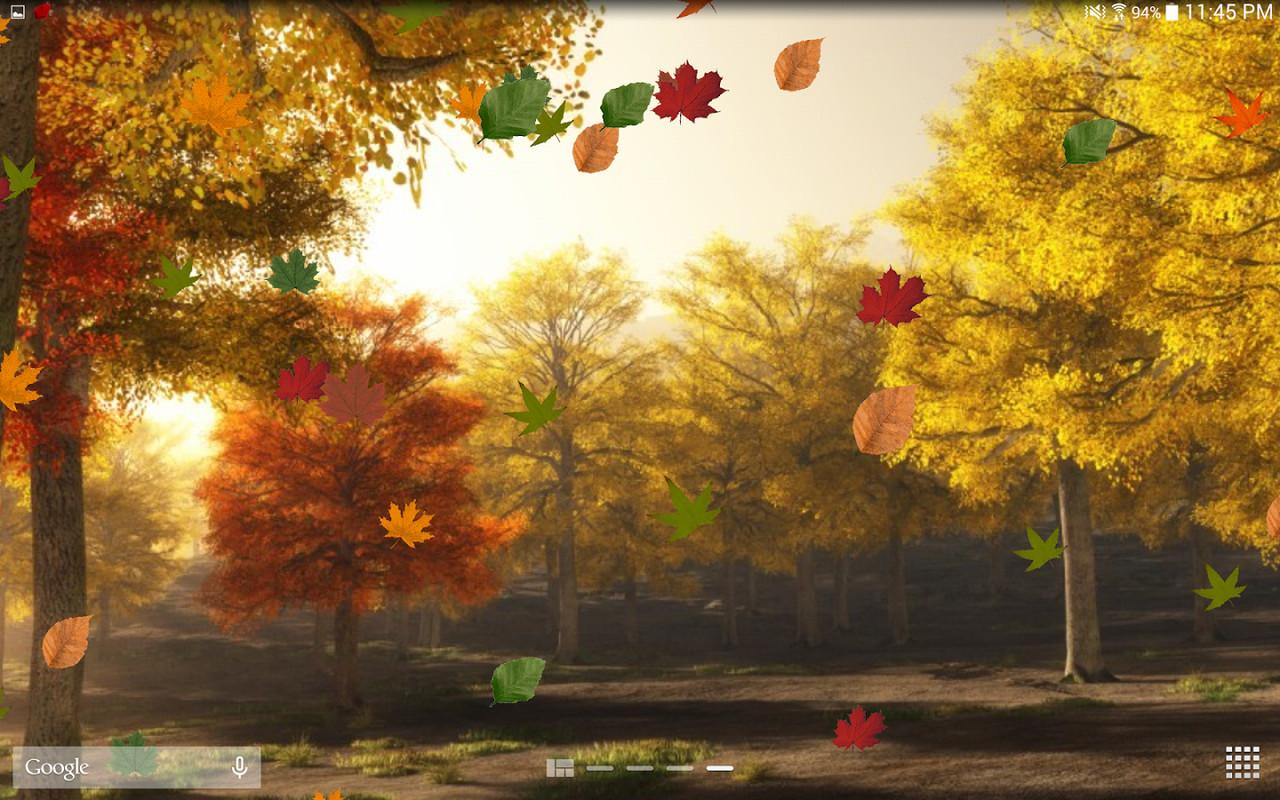 1280x800 autumn live wallpaper, nature, tree, leaf, sky, natural landscape