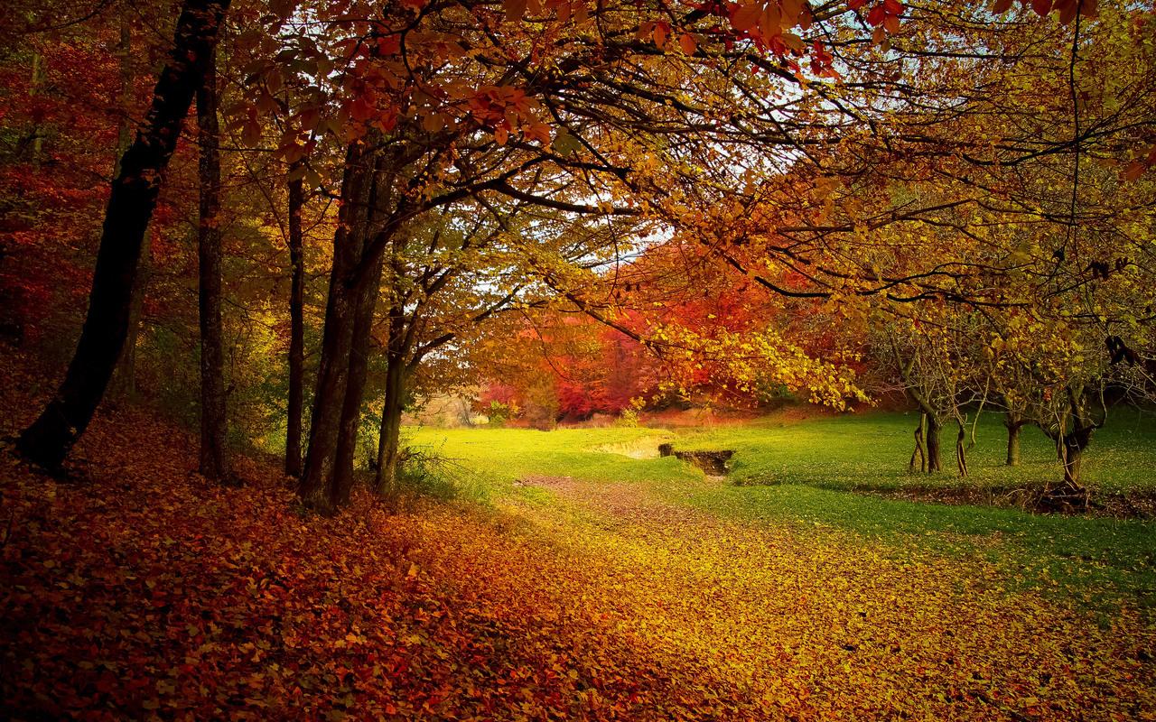 1280X800 Autumn Wallpapers - Top Free 1280X800 Autumn Backgrounds ...