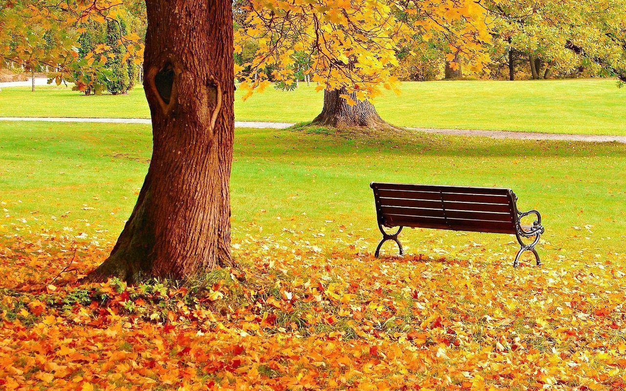 1280x800 Autumn Wallpaper
