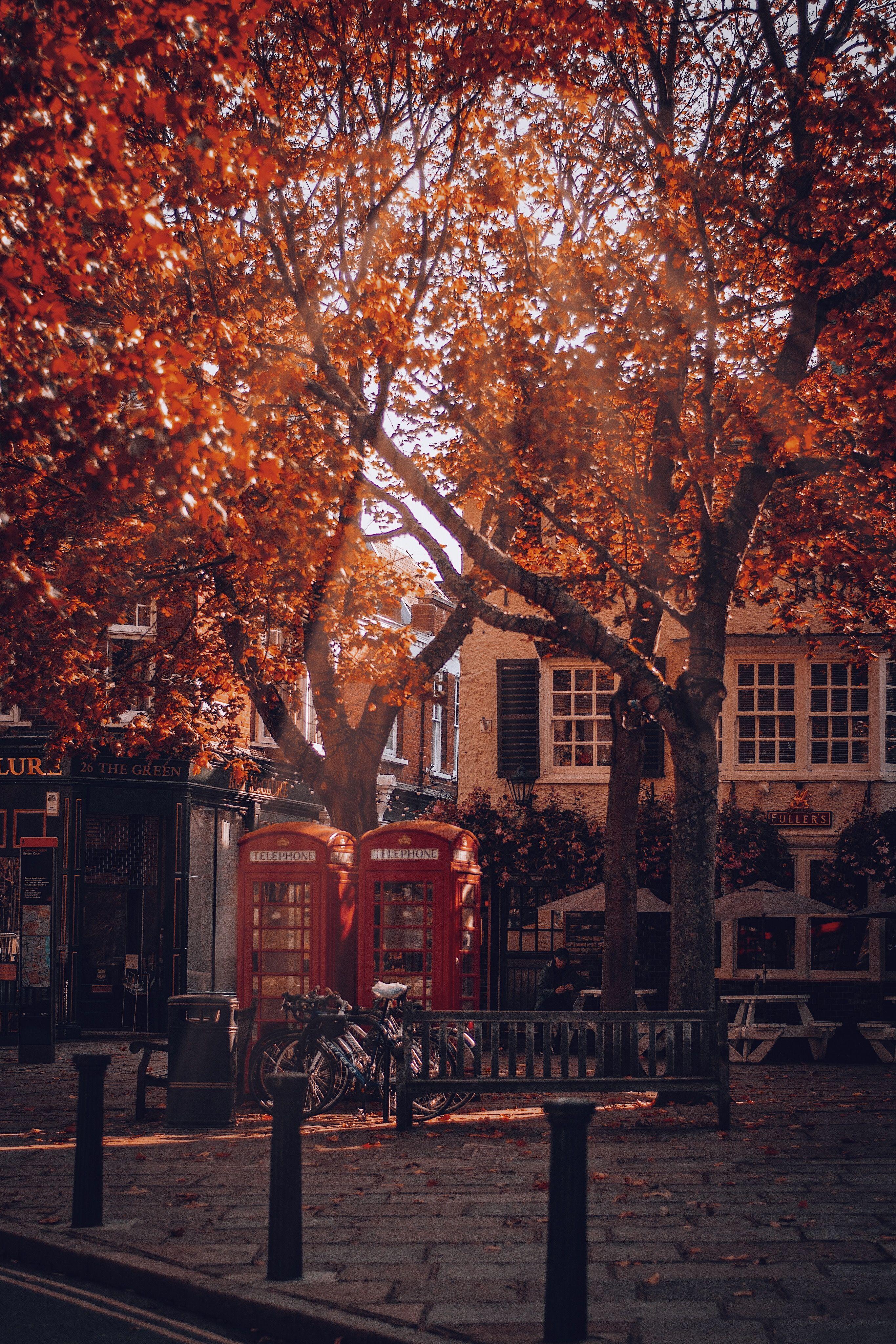 2731x4096 Autumn ideas. autumn, autumn beauty, autumn inspiration