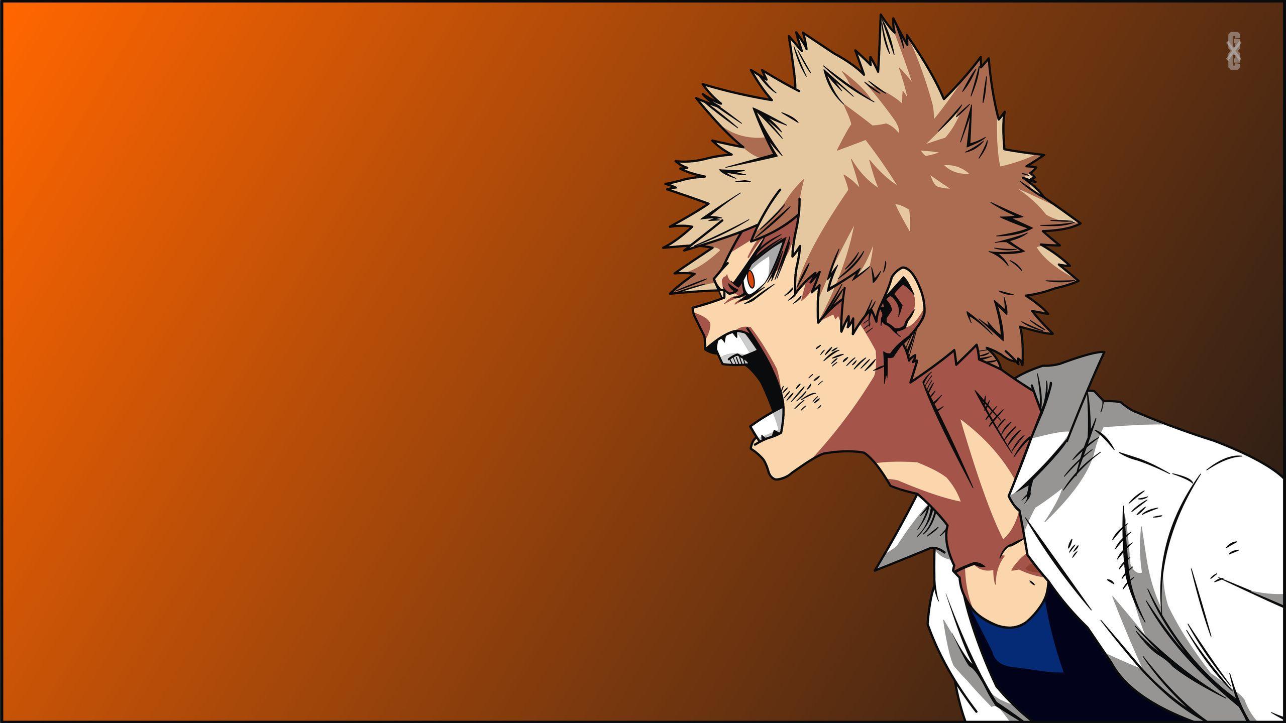 2560x1440 Boku No My Hero Academia 1440P Resolution HD 4k Wallpaper