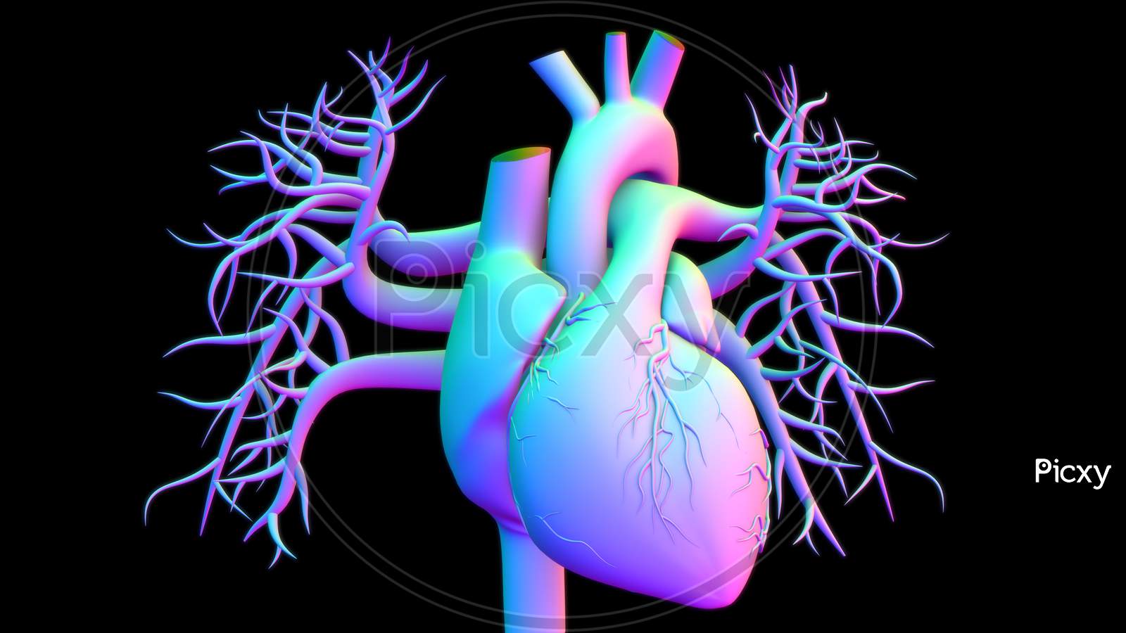 Human Heart HD Wallpapers - Top Free Human Heart HD Backgrounds