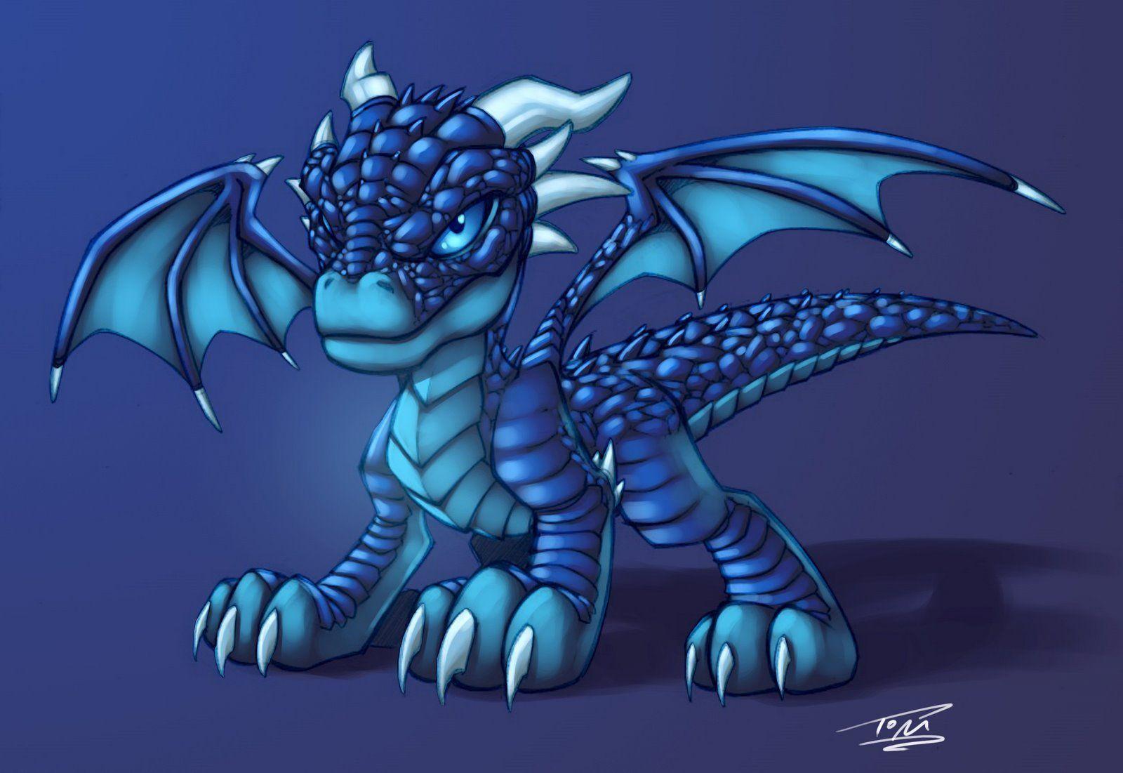 Blue Baby Dragon Wallpapers Top Free Blue Baby Dragon Backgrounds WallpaperAccess