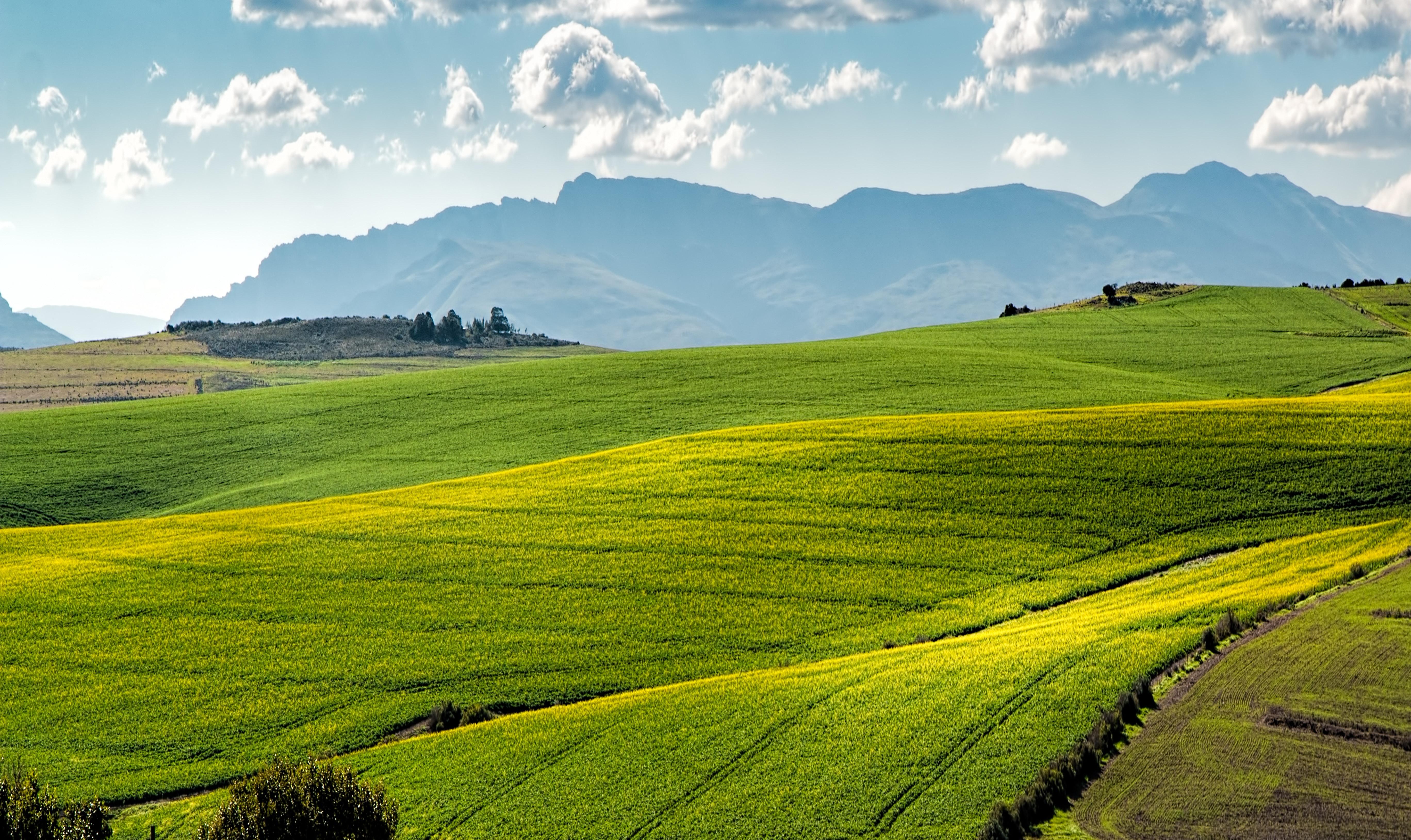 5472x3259 Green Farm Photo, Download The BEST