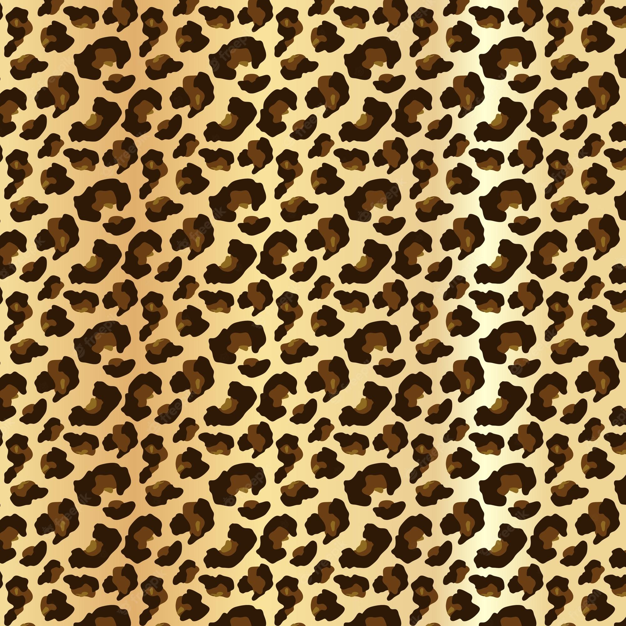 2000x2000 Leopard animal Vectors & Illustrations for Free Download