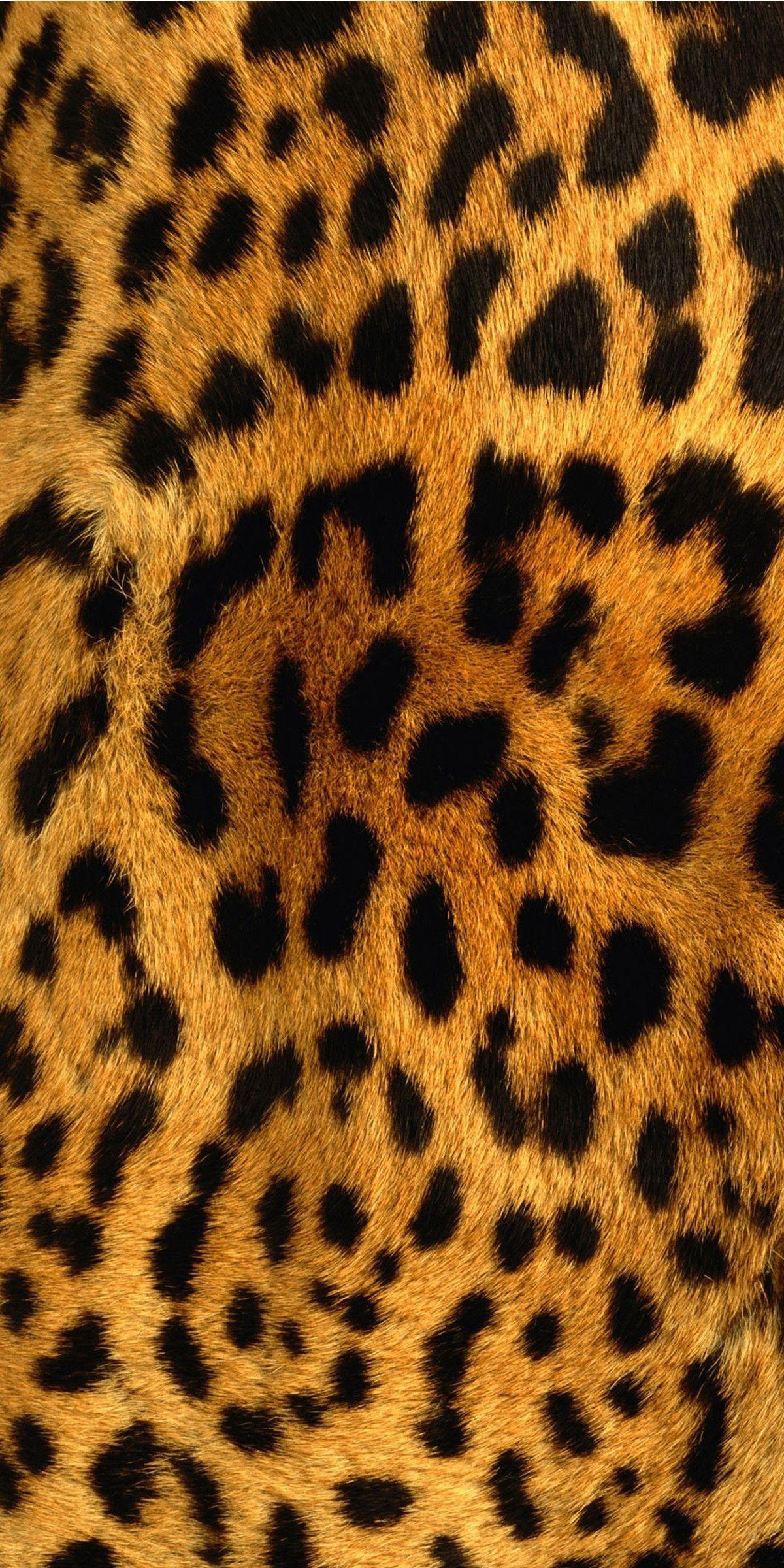 1200x2400 Yellow black print leopard Wallpaper Download