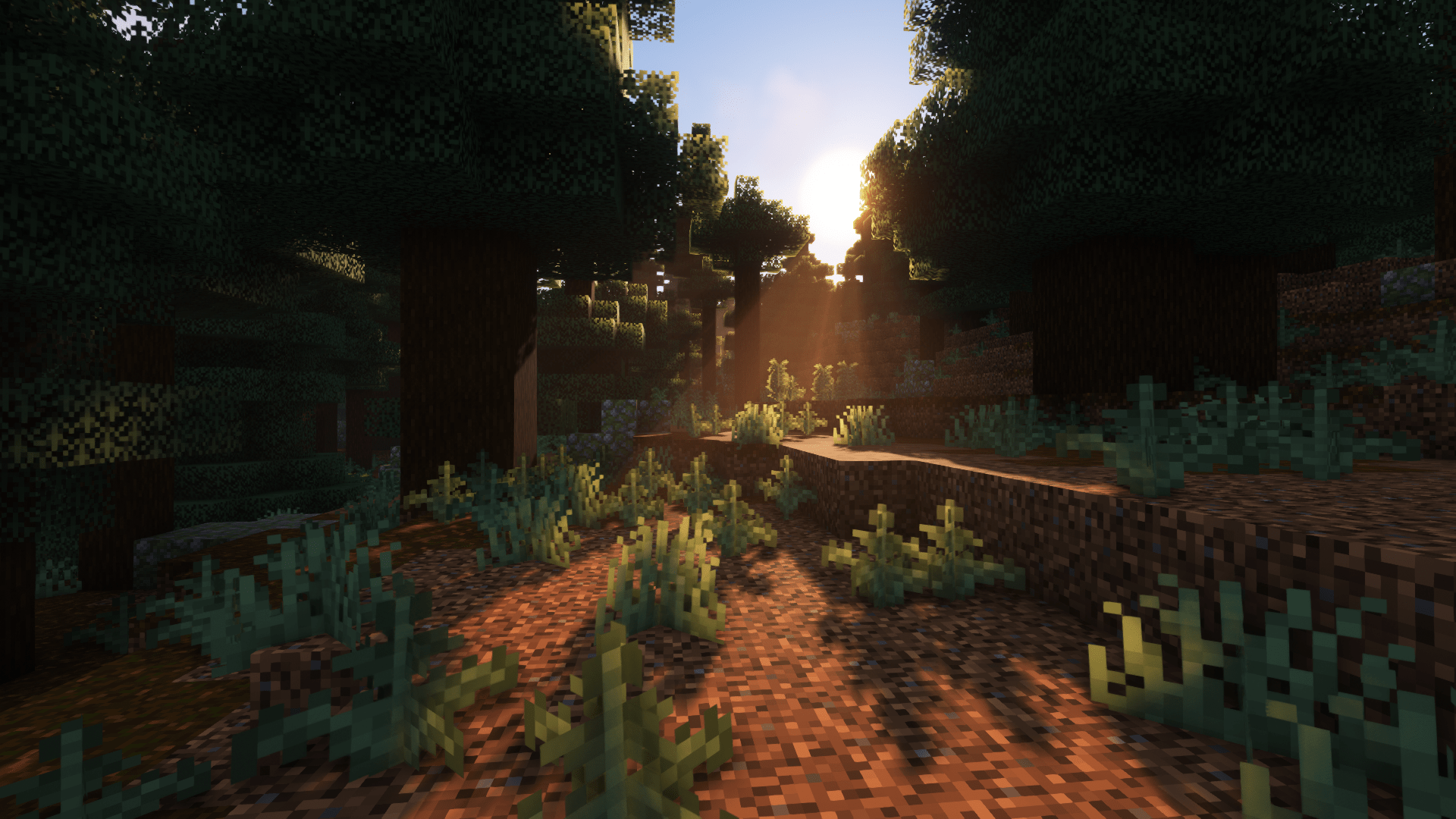 1920x1080 Minecraft Shaders Aestheticc Meme Video Games Forest Trees Wallpaper:1920x1080