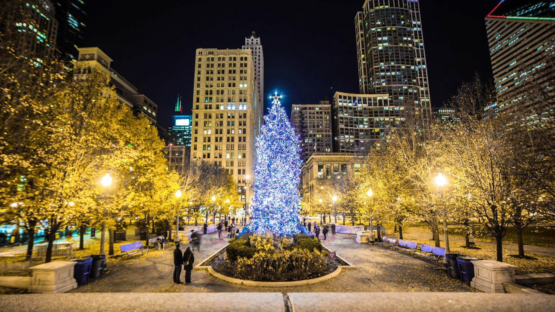 places to visit in chicago during christmas
