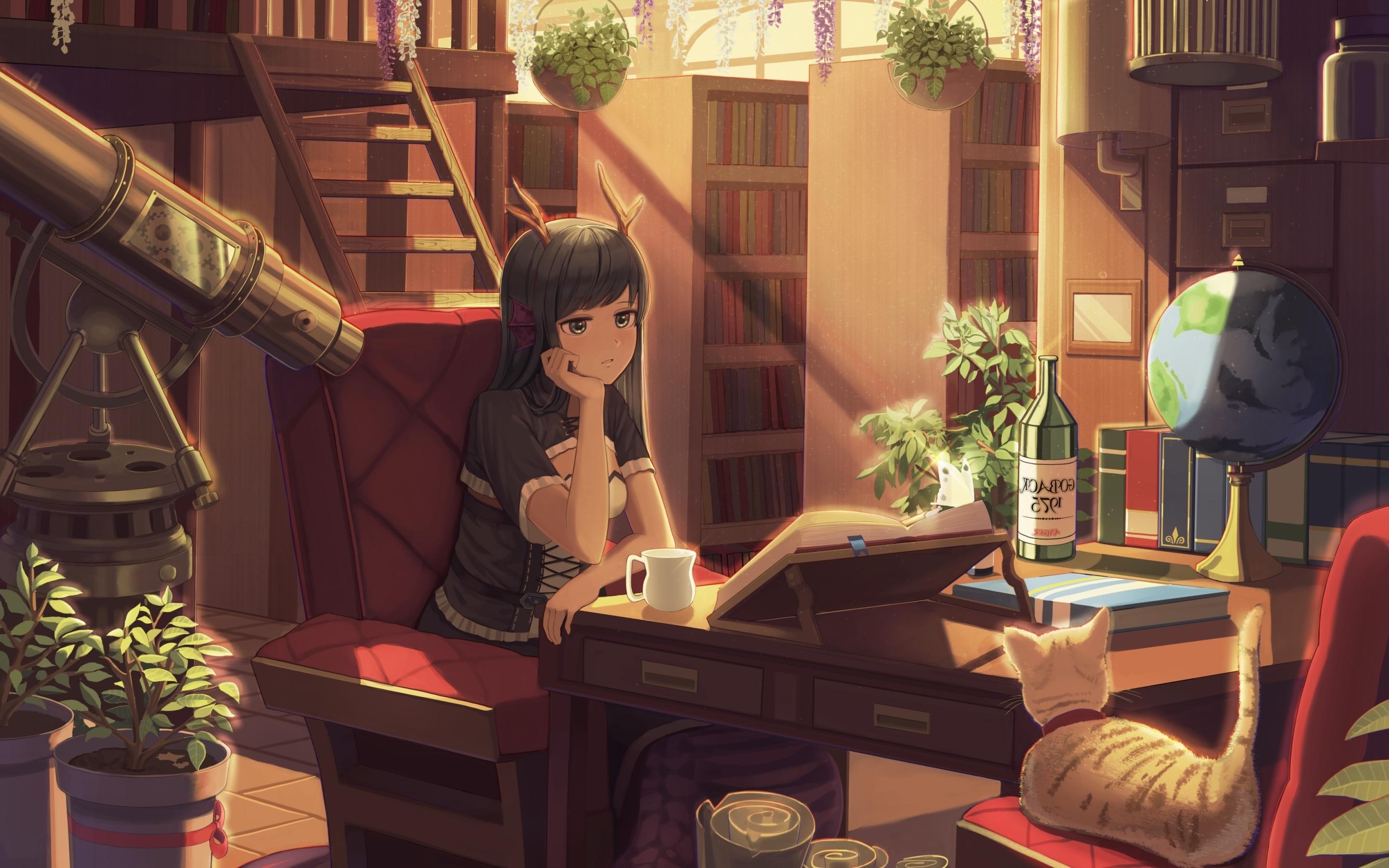 2880x1800 Wallpaper Books, Horns, Studying, Neko, Room, Library, Anime Girl:3500x2275