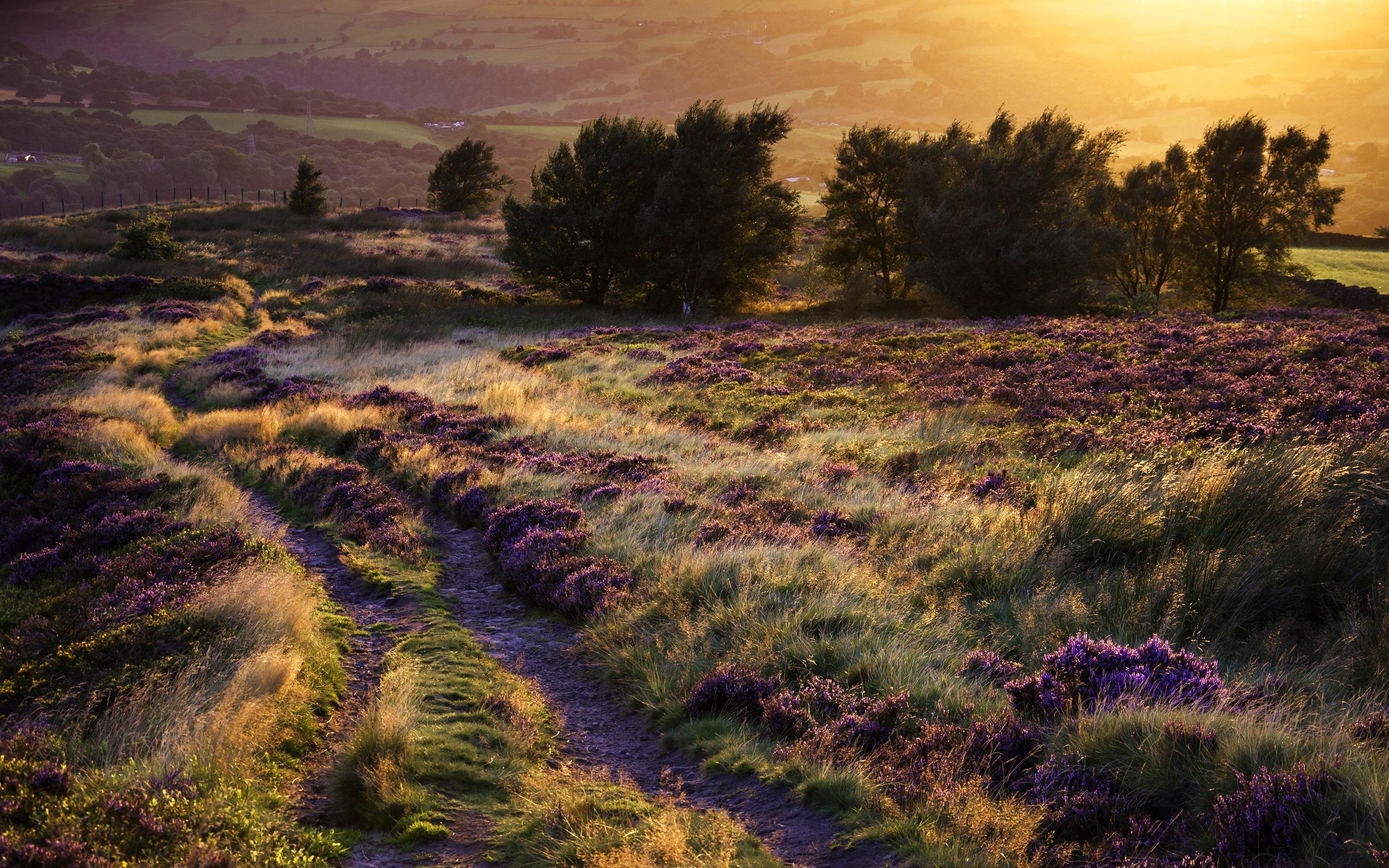 2880x1800 Late Summer Wallpaper