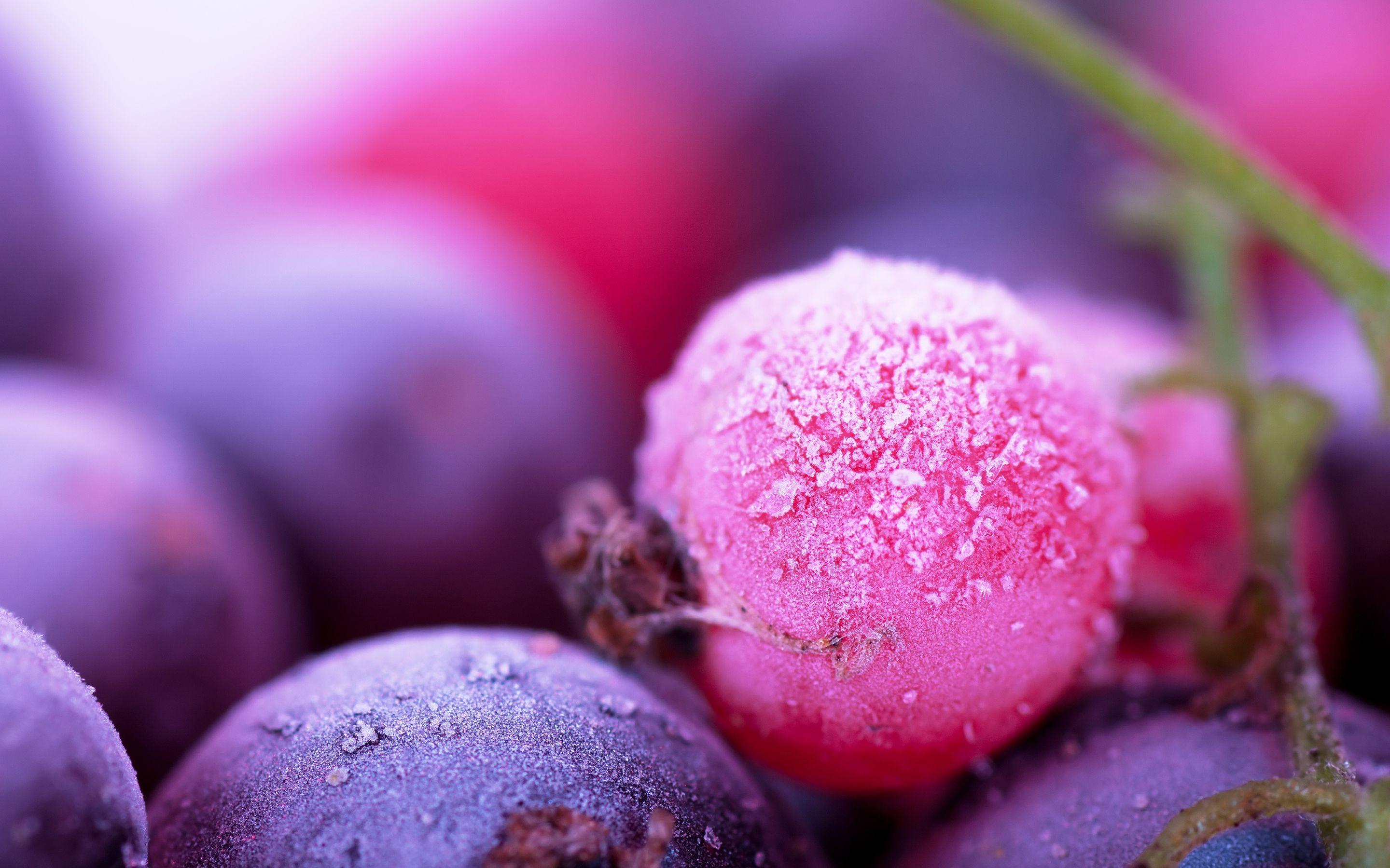 2880x1800 Berry Wallpaper