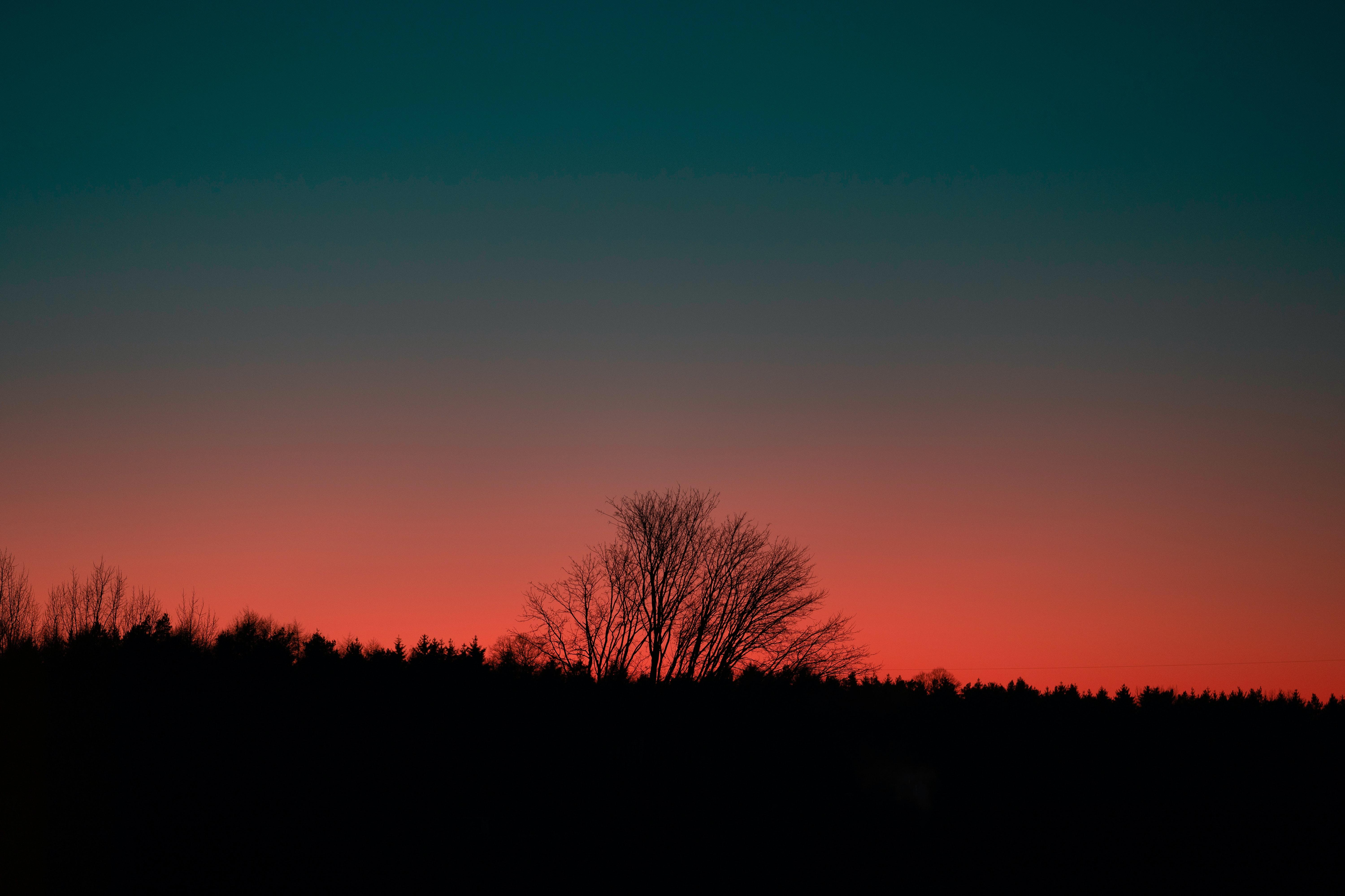 6000x4000 Late Summer Photo, Download Free Late Summer & HD Image