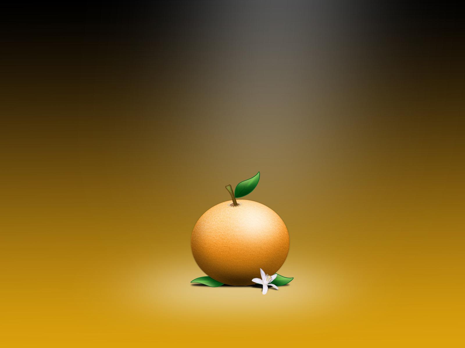 1600x1200 Orange Fruit Desktop Background