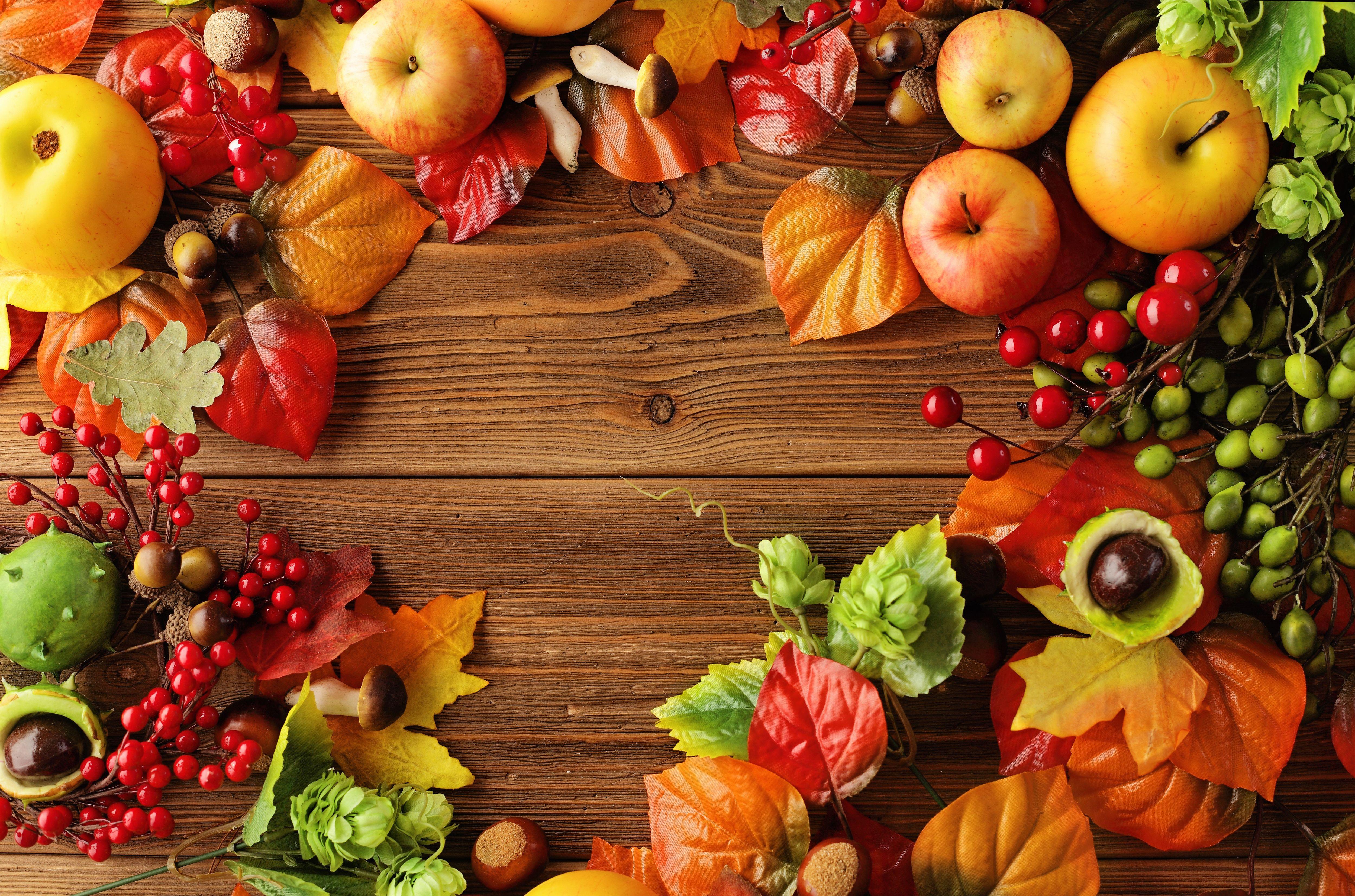 5000x3306 Autumn Fruits Wallpaper