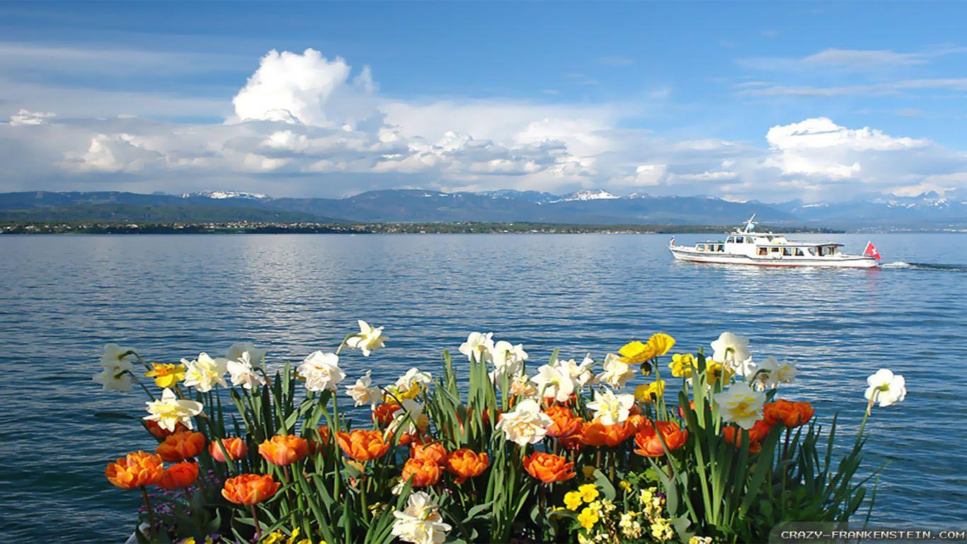 1366x768 Late Spring Desktop Wallpaper