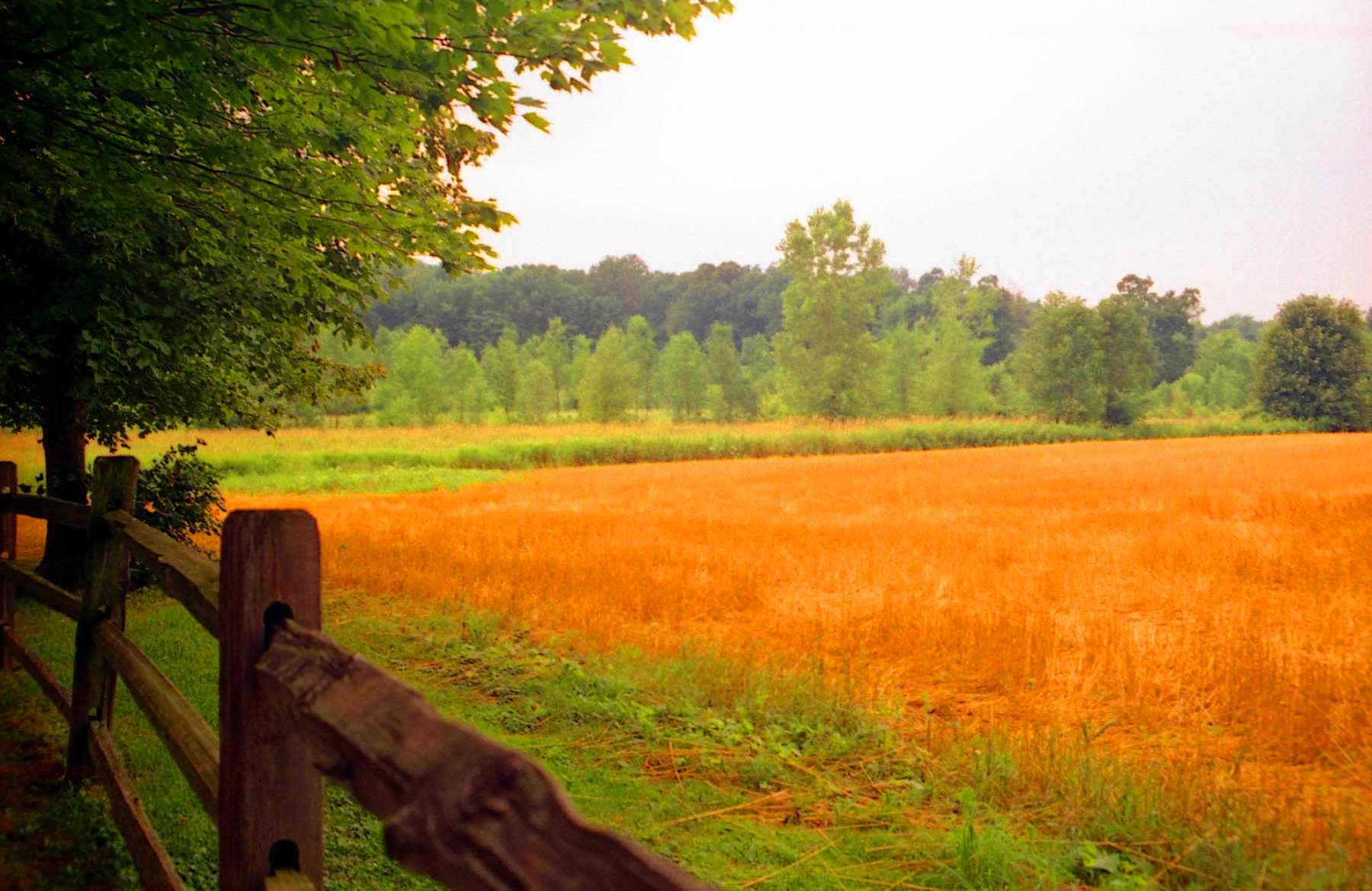 1800x1170 Late Summer Wallpaper & Background Beautiful Best Available For Download Late Summer Photo Free On Zicxa.com Image