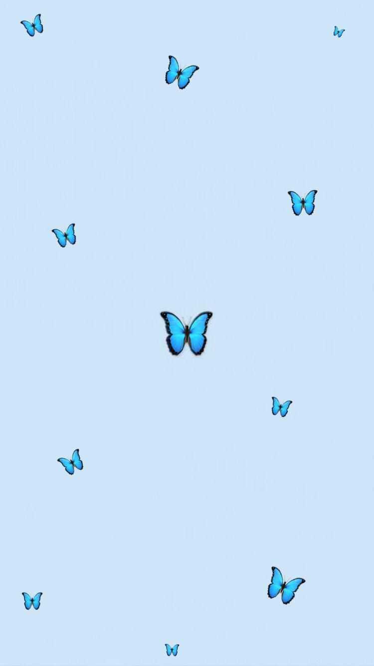 750x1334 Baby Blue Wallpaper