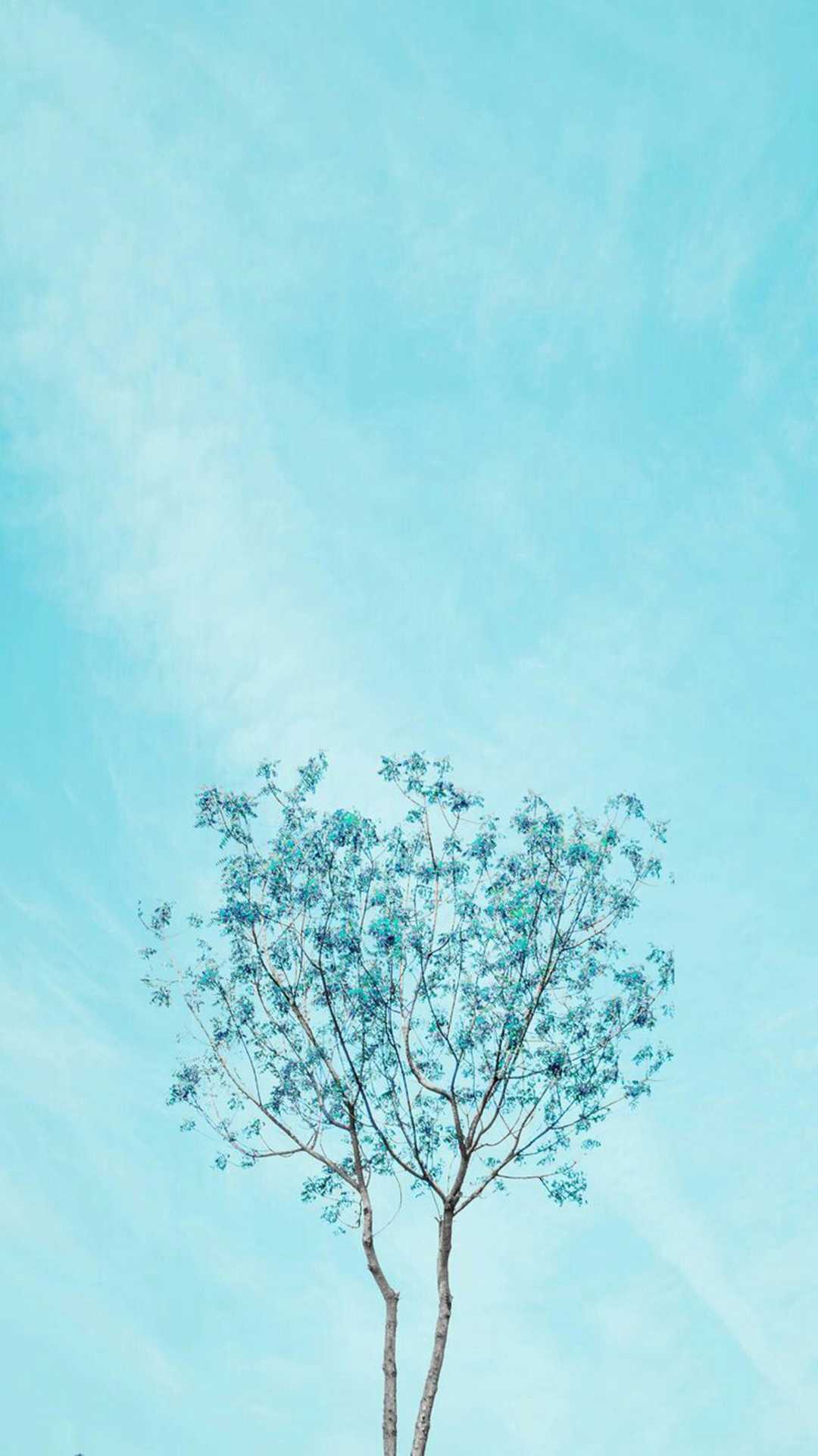 1080x1920 Light Blue Wallpaper
