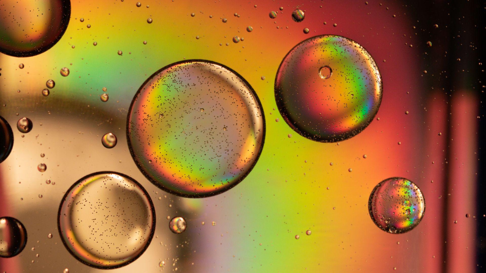 1920x1080 Orange Bubble Circle HD Wallpaper