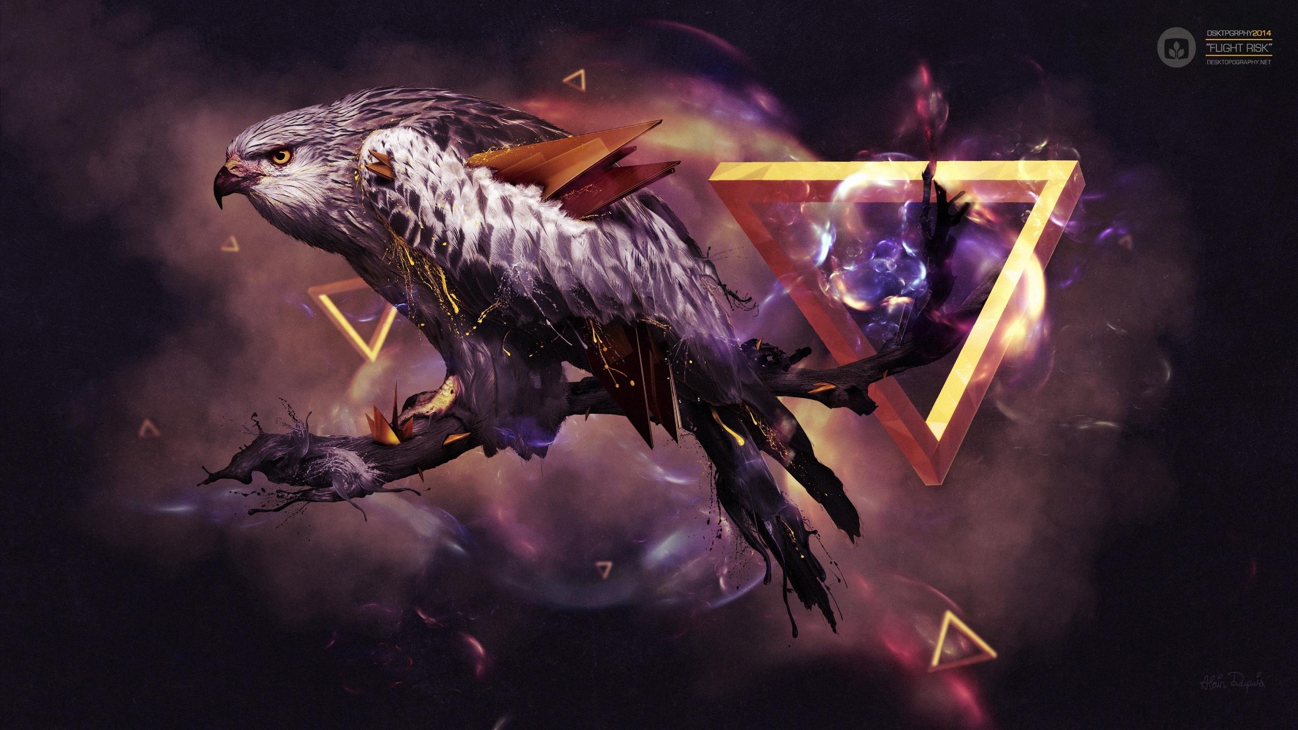 2560x1440 Desktop Wallpaper Hawk Birds Creative Branches Animals 2560x1440