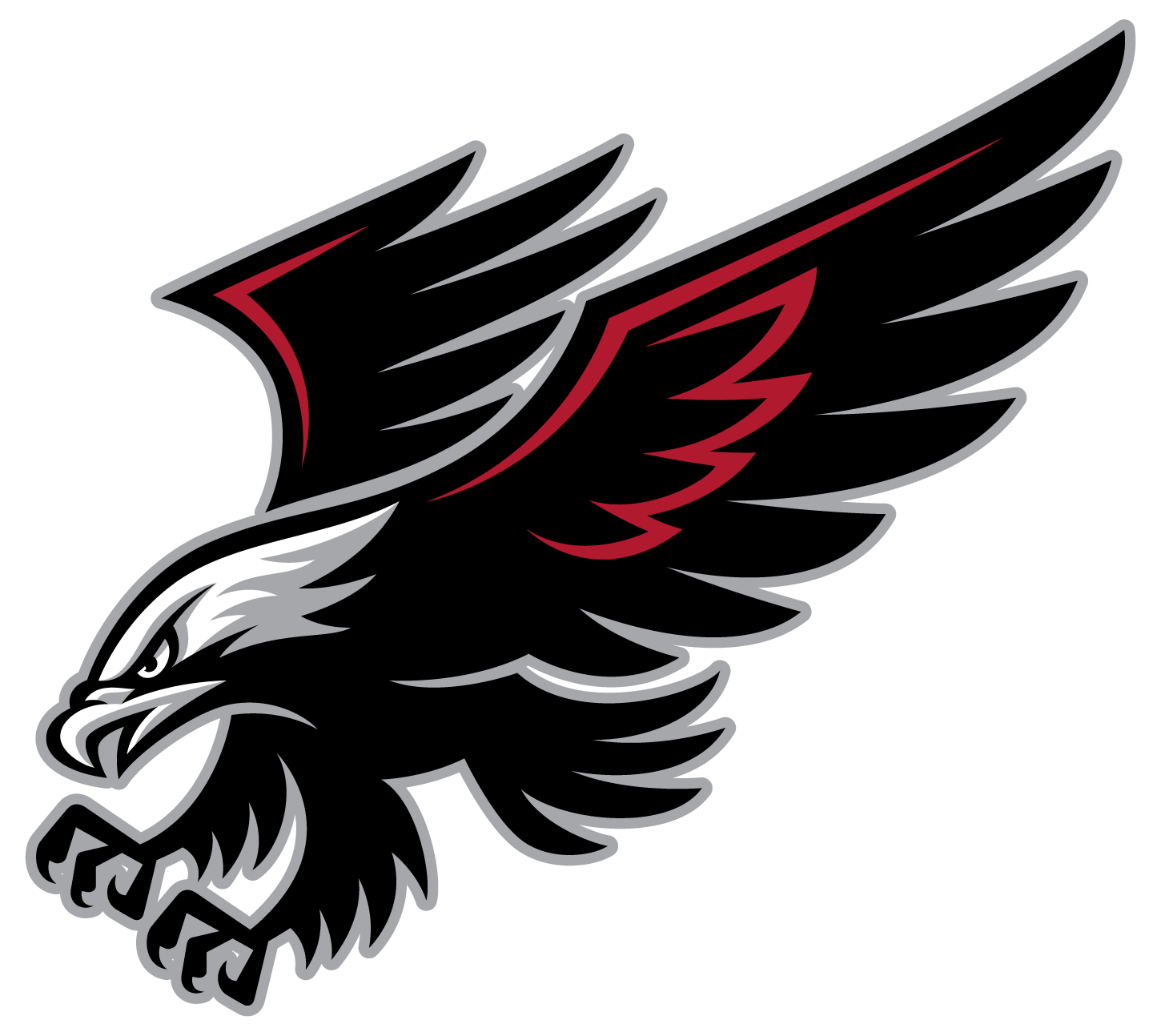 1450x1294 image For > Black Hawk Bird Wallpaper