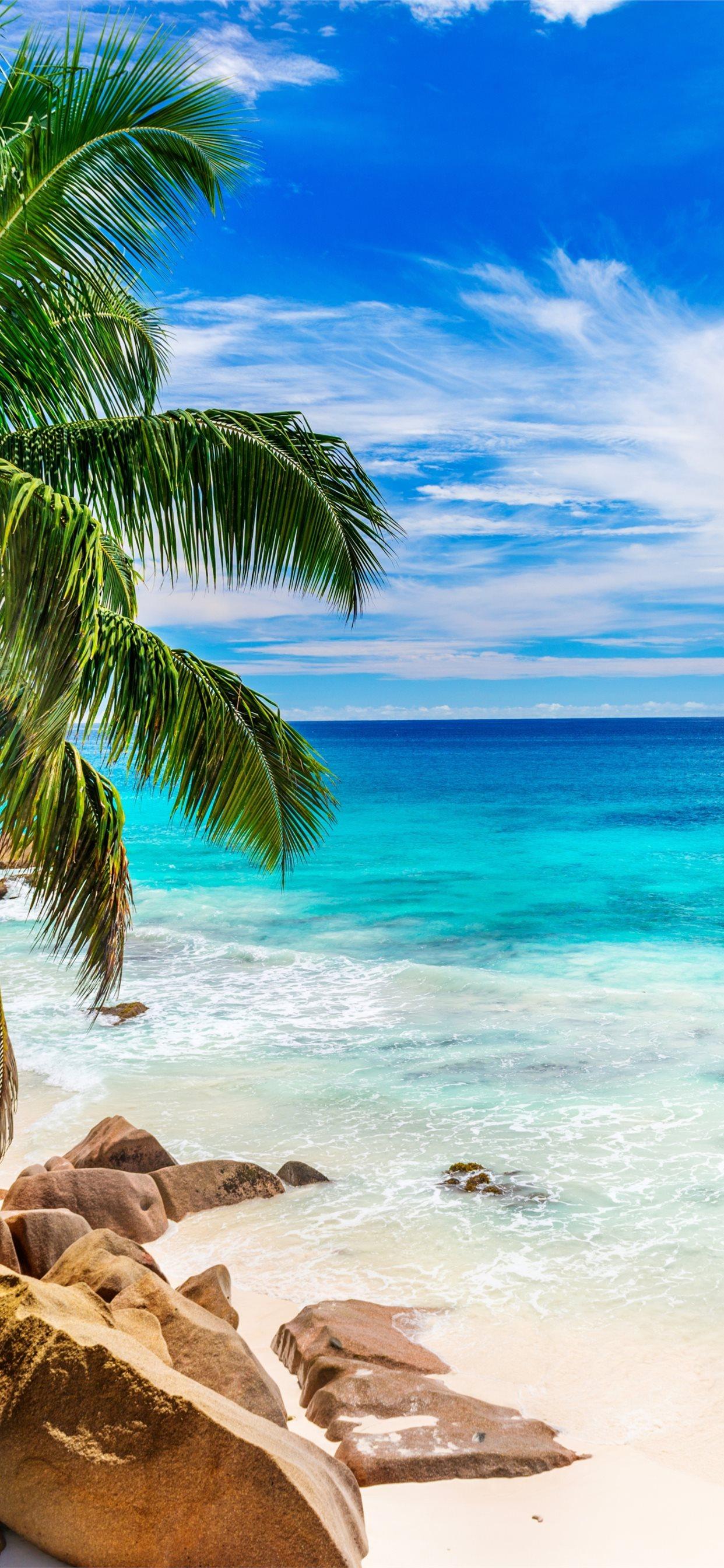 1242x2688 Beach in Seychelles Earth Beach Blue Horizon Ocean. iPhone 11 Wallpaper Free Download