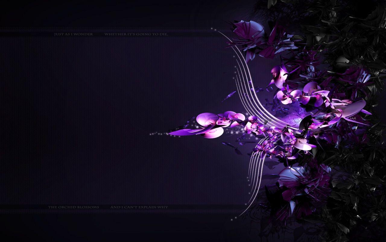 1280x804 Purple Orchid Wallpaper