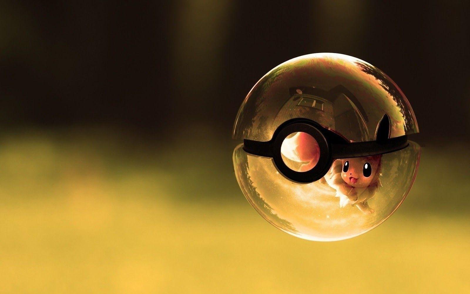 1600x1000 Pokeball HD Wallpaper High Quality for Desktop