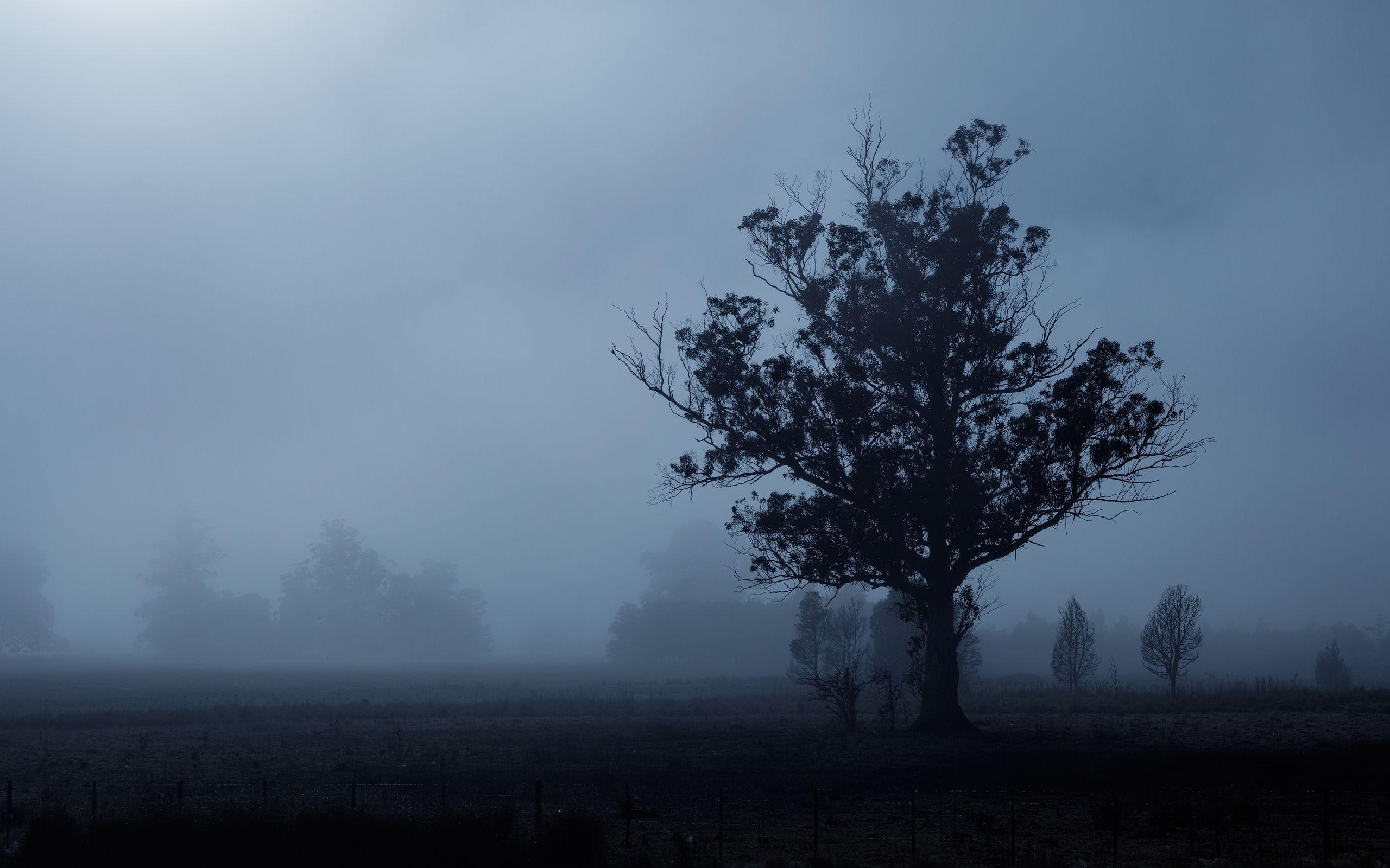 2560x1600 Gloomy Wallpaper & Background Beautiful Best Available For Download Gloomy Photo Free On Zicxa.com Image