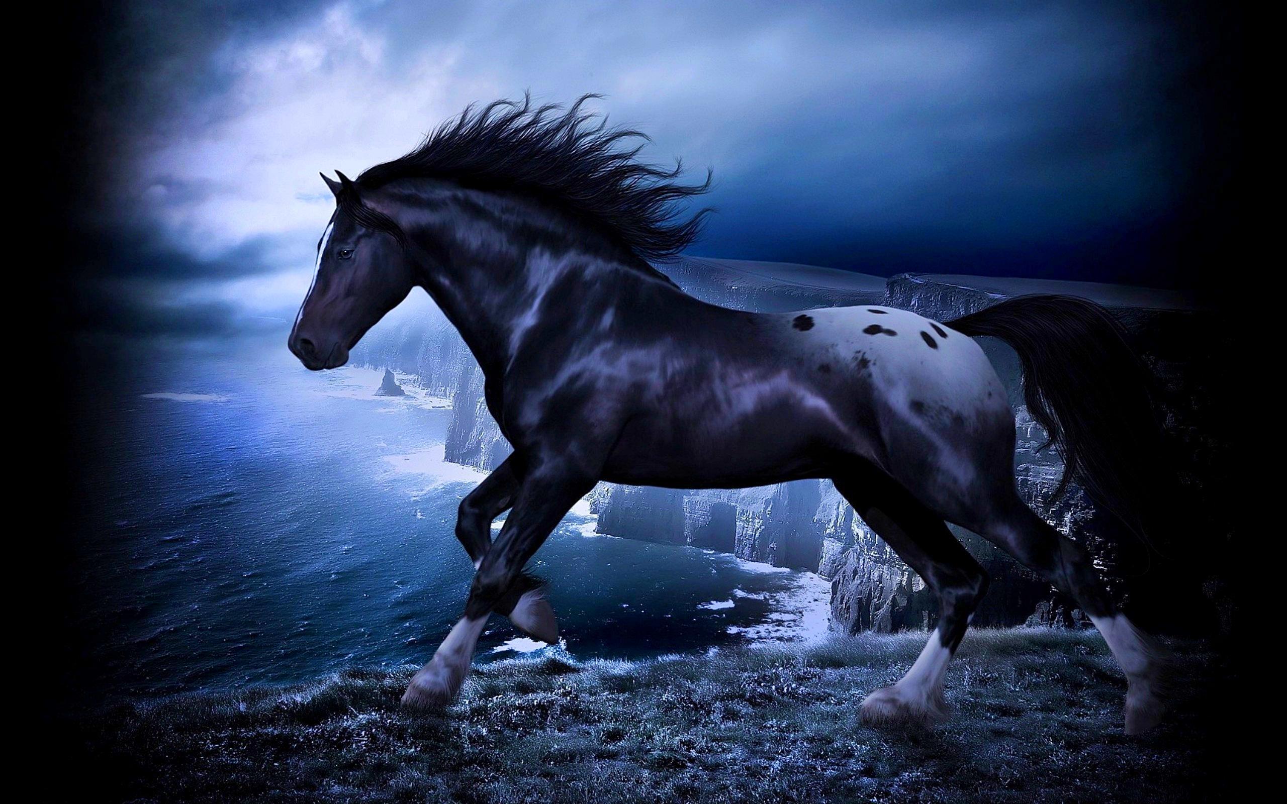 2560x1600 Friesian Horse Wallpaper