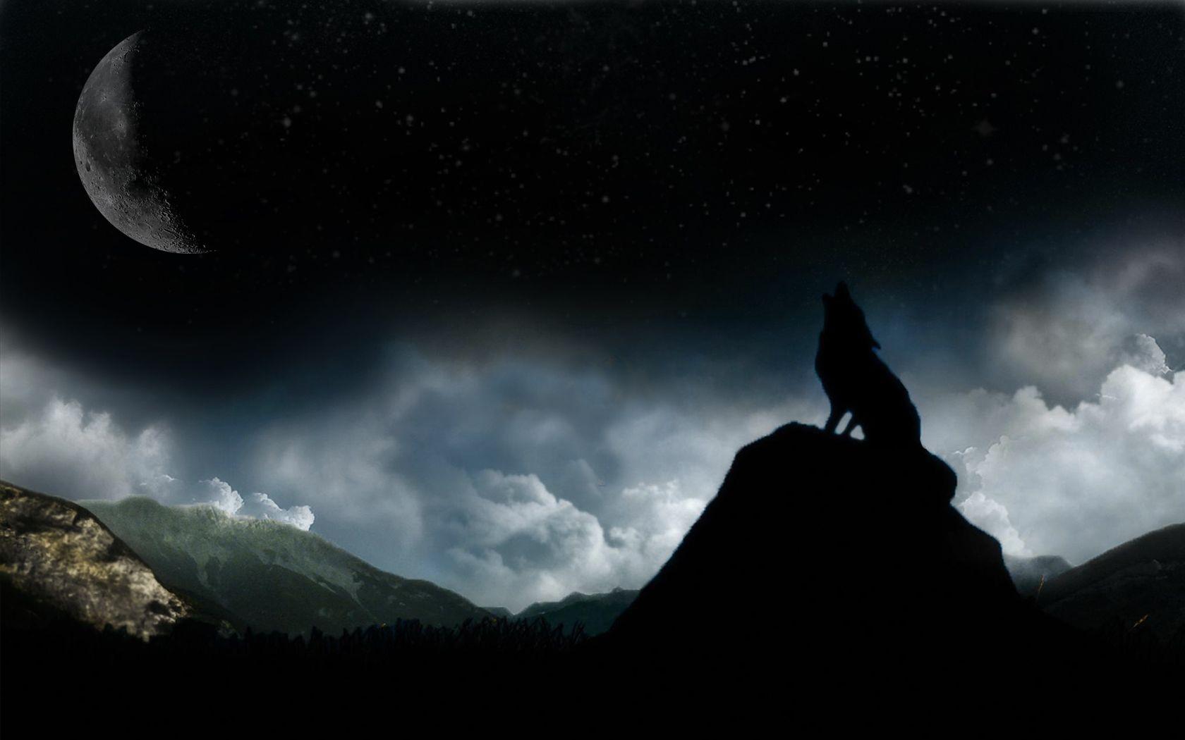 1680x1050 Moon Wolf Wallpaper