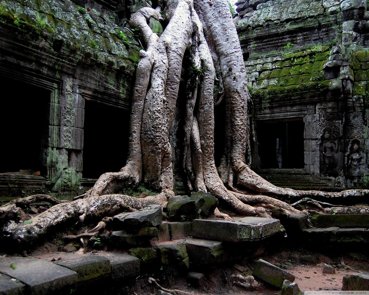1280x1024 Angkor Wat Temple, Cambodia Ultra HD Desktop Background Wallpaper for 4K UHD TV : Tablet
