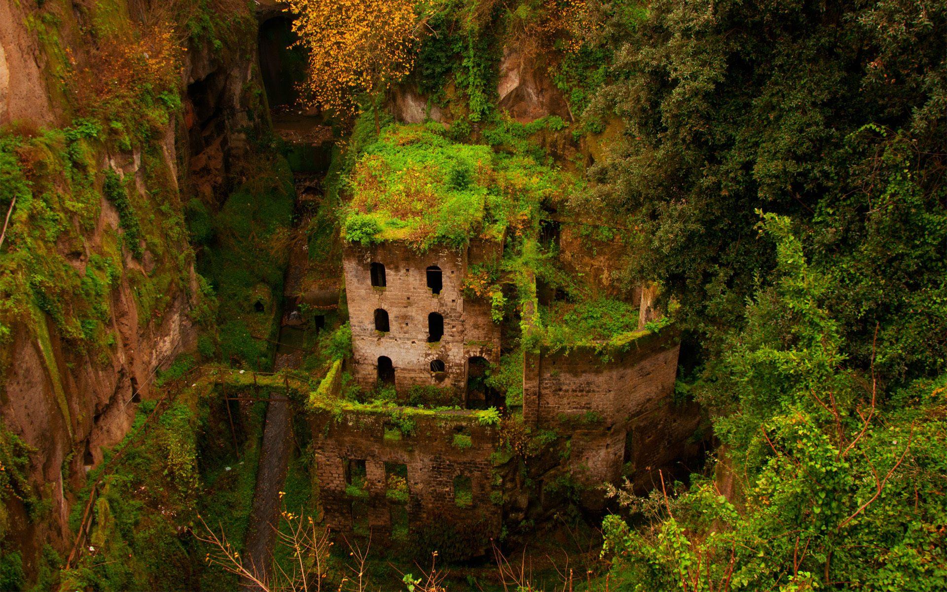 1920x1200 photography, Abandoned, Building, Old building, Ruin, Overgrown, Trees, Monastery, Italy, Valley Wallpaper HD / Desktop and Mobile Background