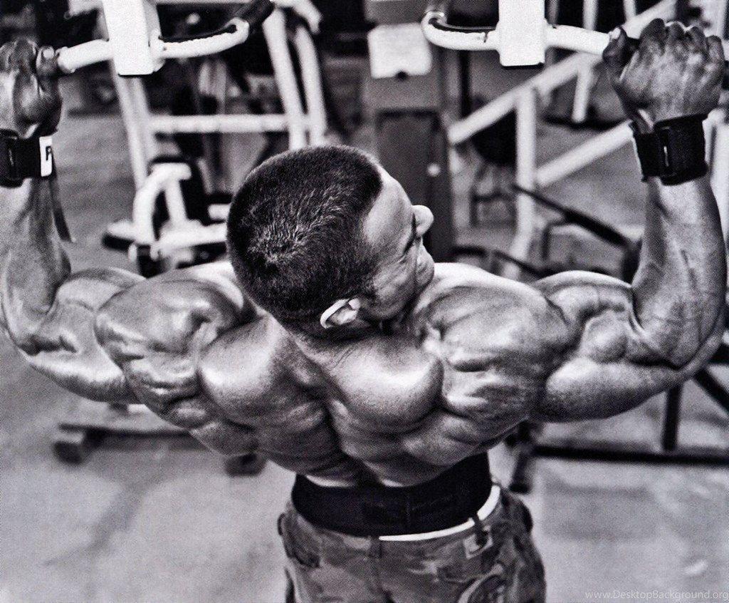 1024x846 Bodybuilding Desktop Wallpaper, Bodybuilding Image, New Wallpaper