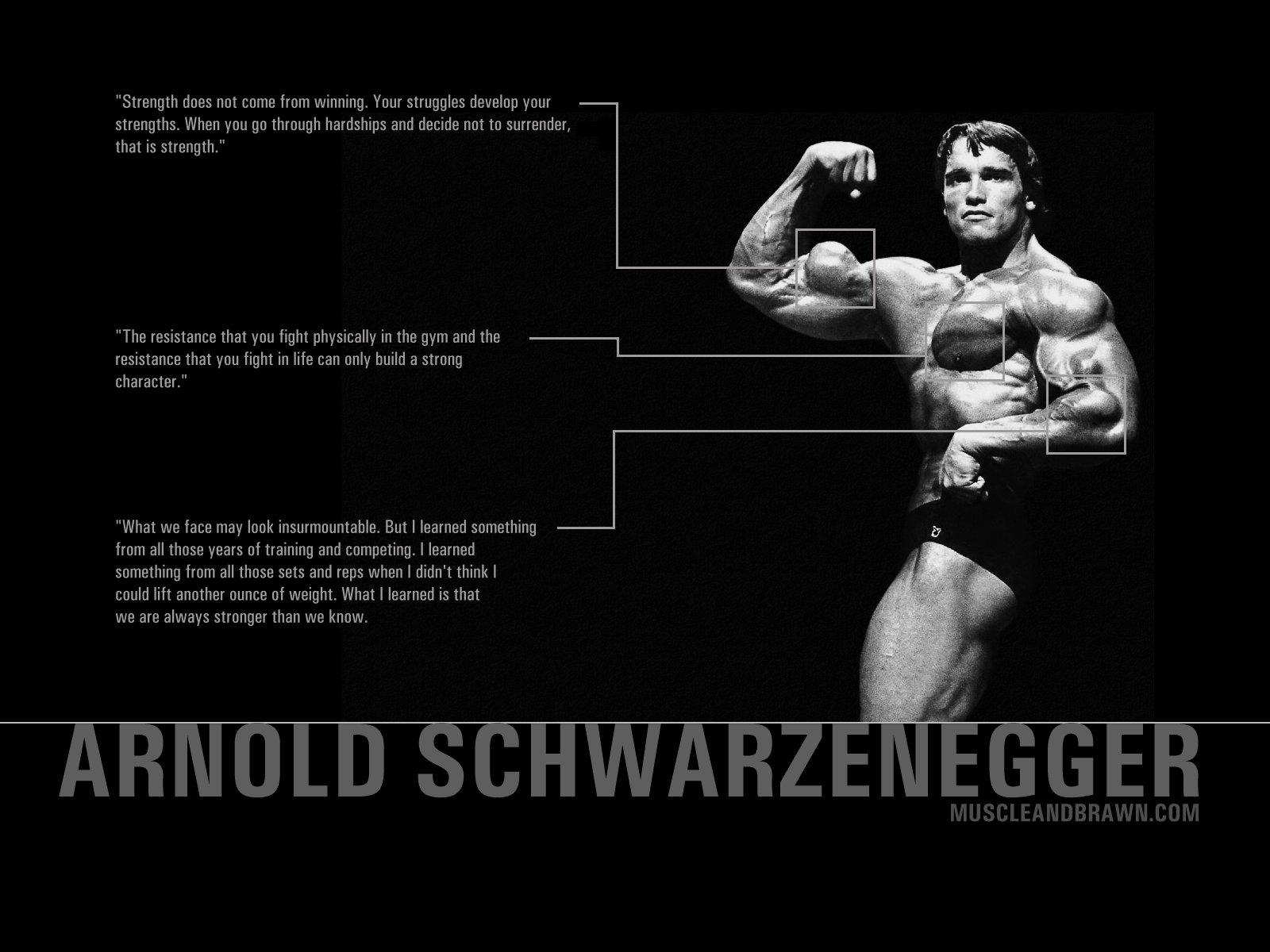 1600x1200 Bodybuilding wallpaper HD for desktop background