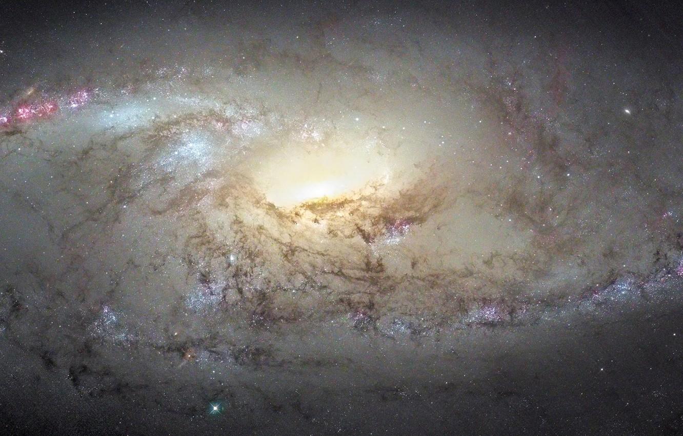 1332x850 Wallpaper galaxy, constellation, The Big Dipper, M The Dogs Of War, NGC - for desktop, section космос
