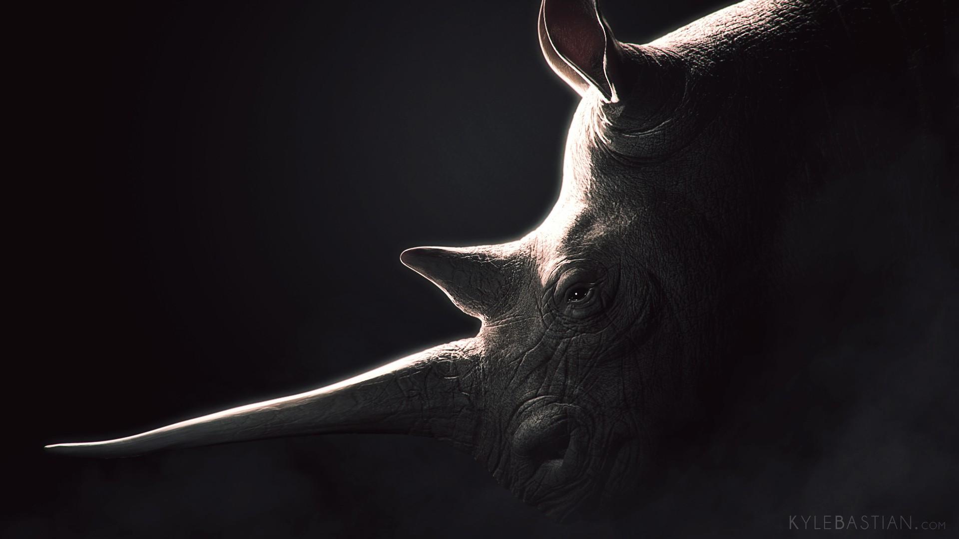 1920x1080 Rhino, black background Desktop wallpaper 1280x720