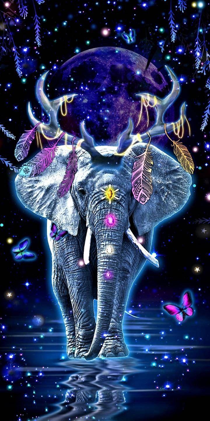 720x1440 Cute Girly Elephant Wallpaper & Background Beautiful Best Available For Download Cute Girly Elephant Photo Free On Zicxa.com Image