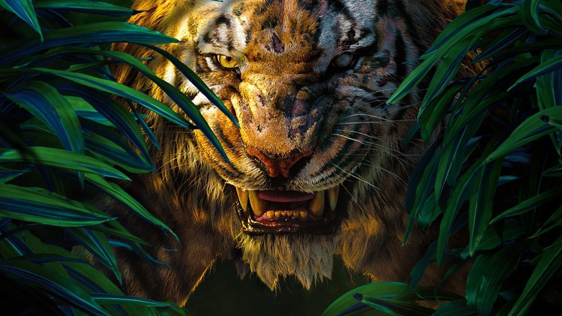 The Jungle Book 4K Wallpapers - Top Free The Jungle Book 4K Backgrounds