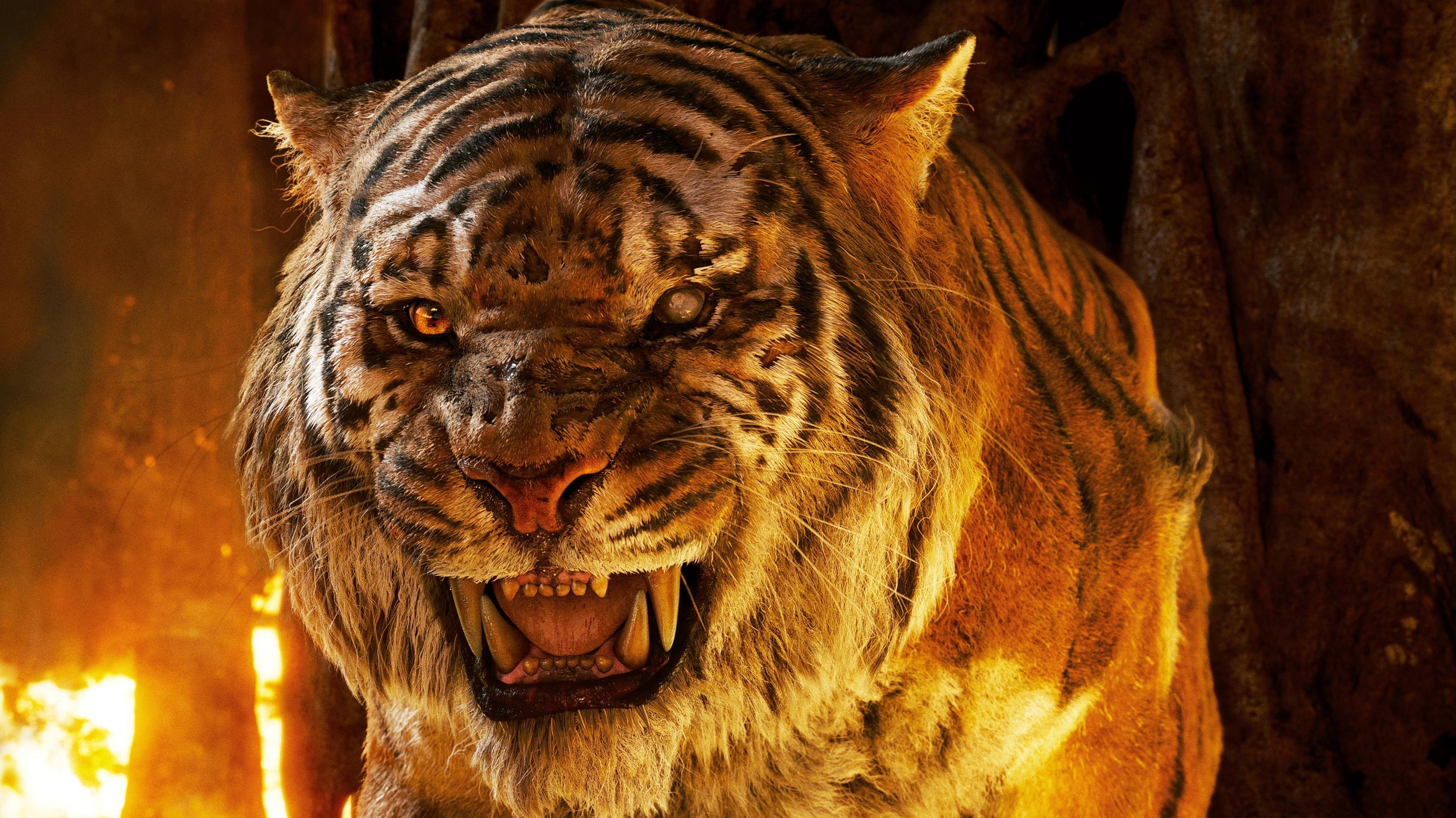 3077x1730 The Jungle Book Tiger 5k, HD Movies, 4k Wallpaper, Image, Background, Photo and Picture