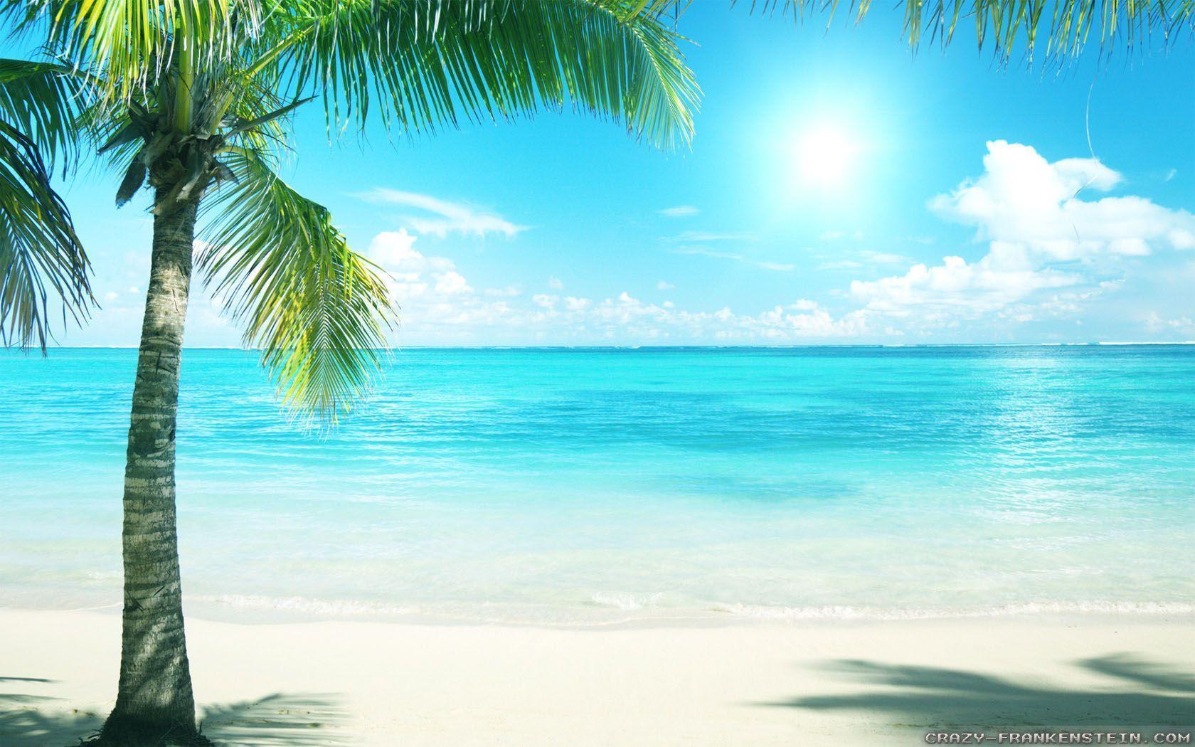 1680x1050 A Summer Day Wallpaper