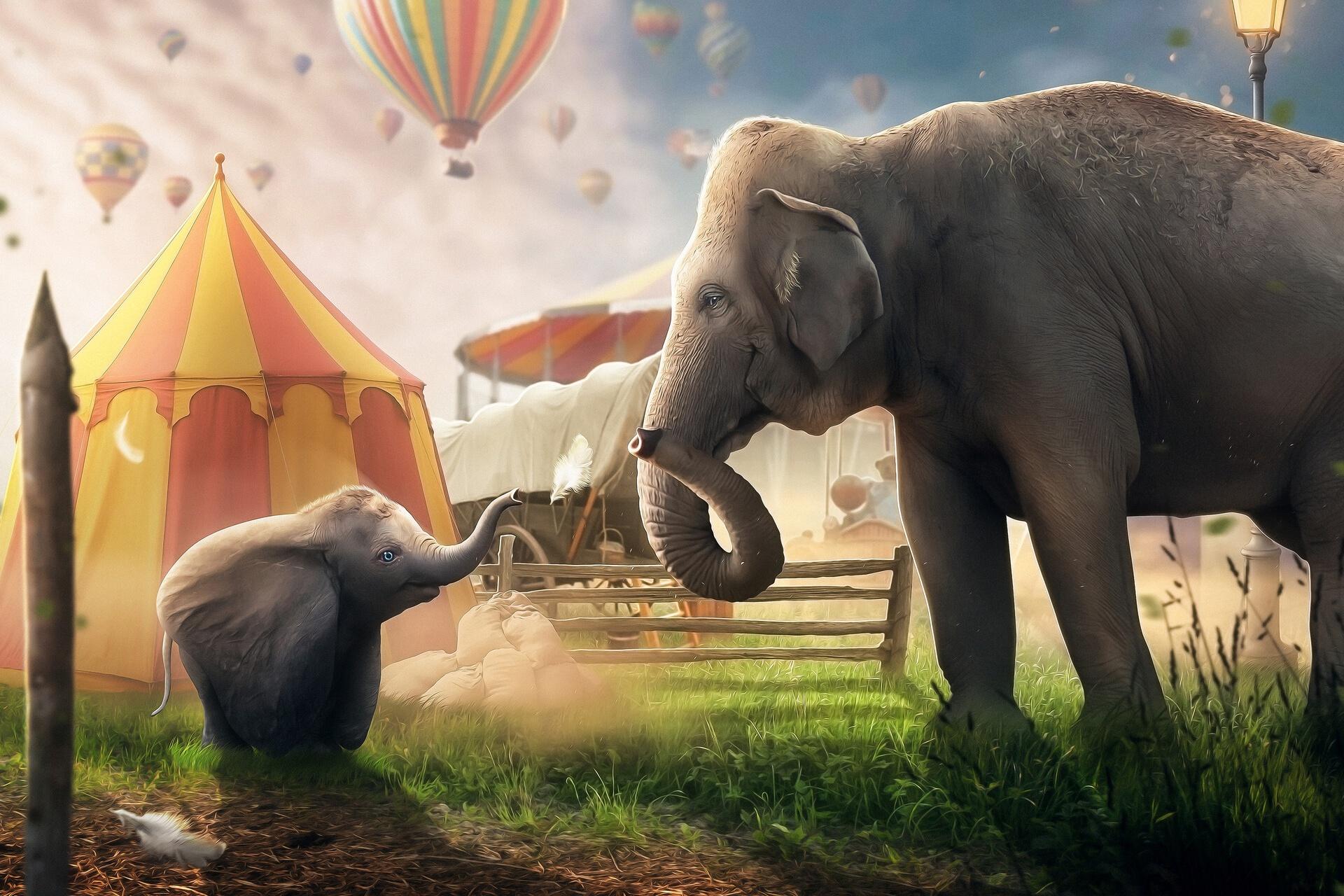 1920x1280 Dumbo (2019) HD Wallpaper