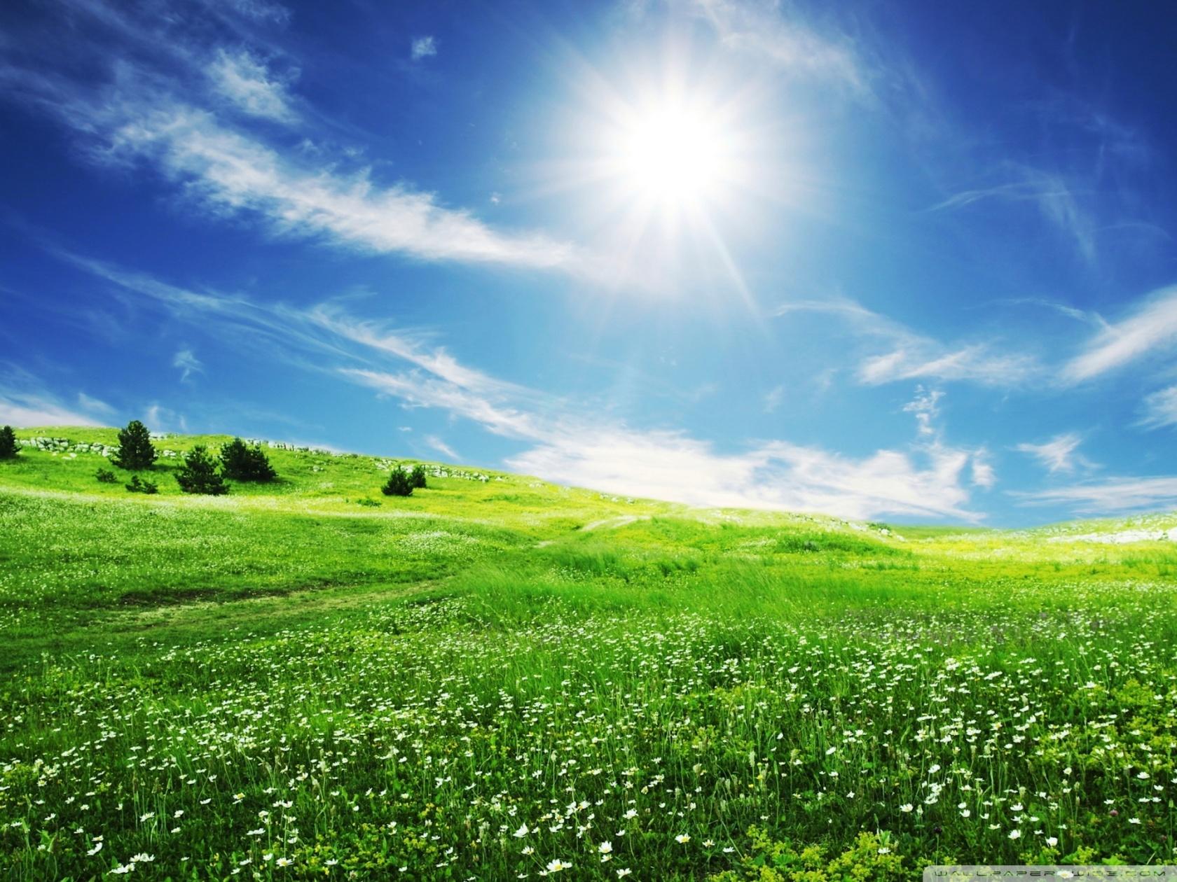 1680x1260 Summer Day Ultra HD Desktop Background Wallpaper for 4K UHD TV : Widescreen & UltraWide Desktop & Laptop : Tablet
