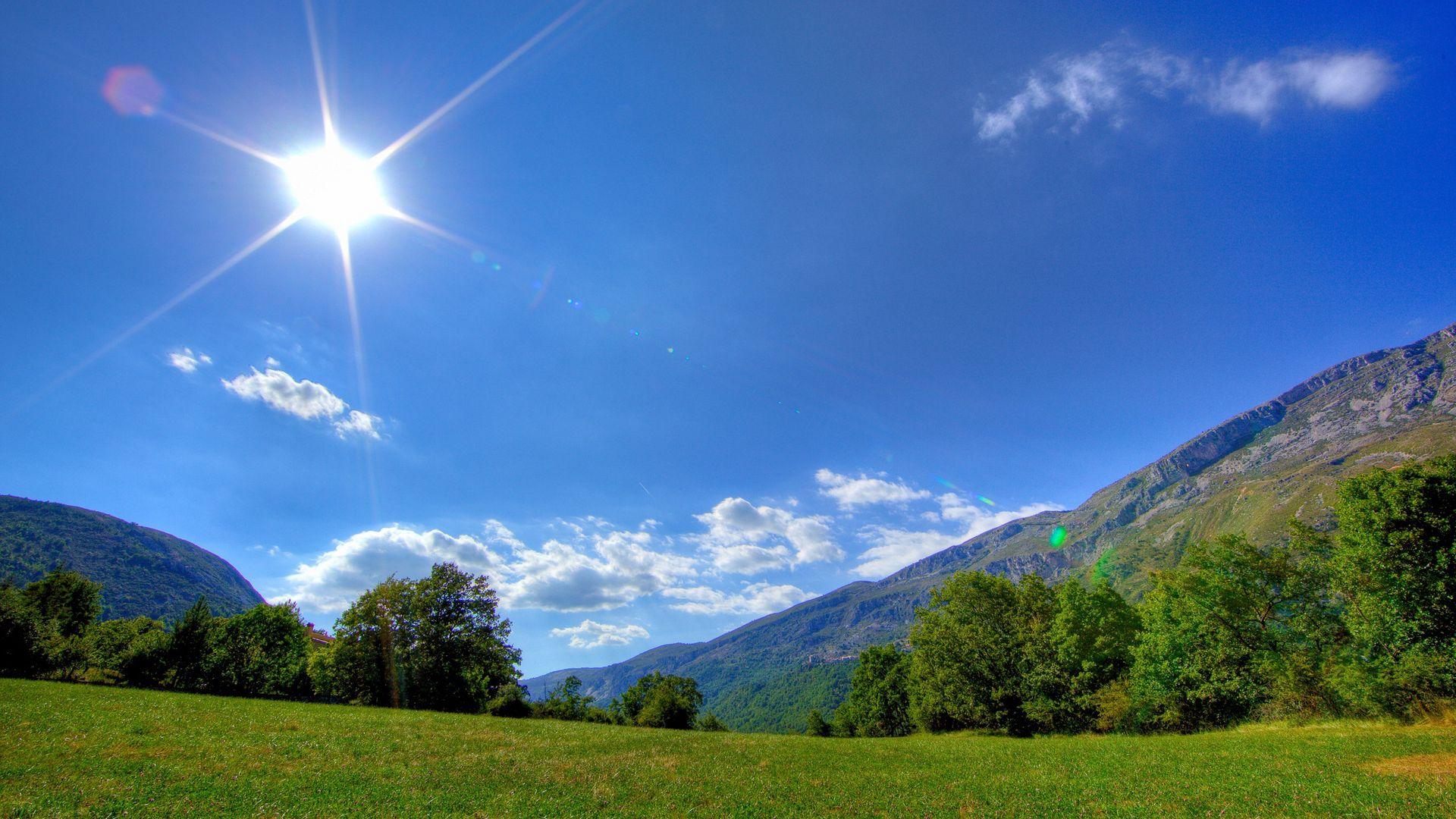 1920x1080 Download wallpaper 1920x1080 sun, light, beams, meadow, glade, summer, day full hd, hdtv, fhd, 1080p HD background