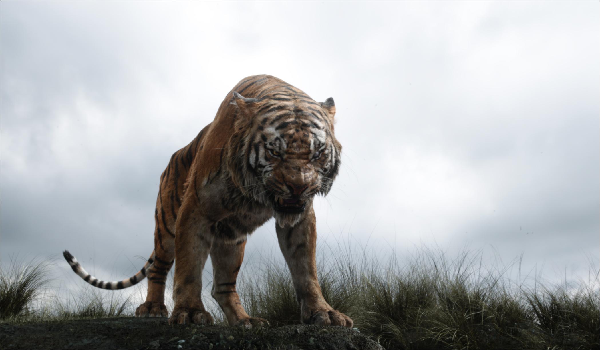2098x1224 The Jungle Book (2016) HD Wallpaper and Background